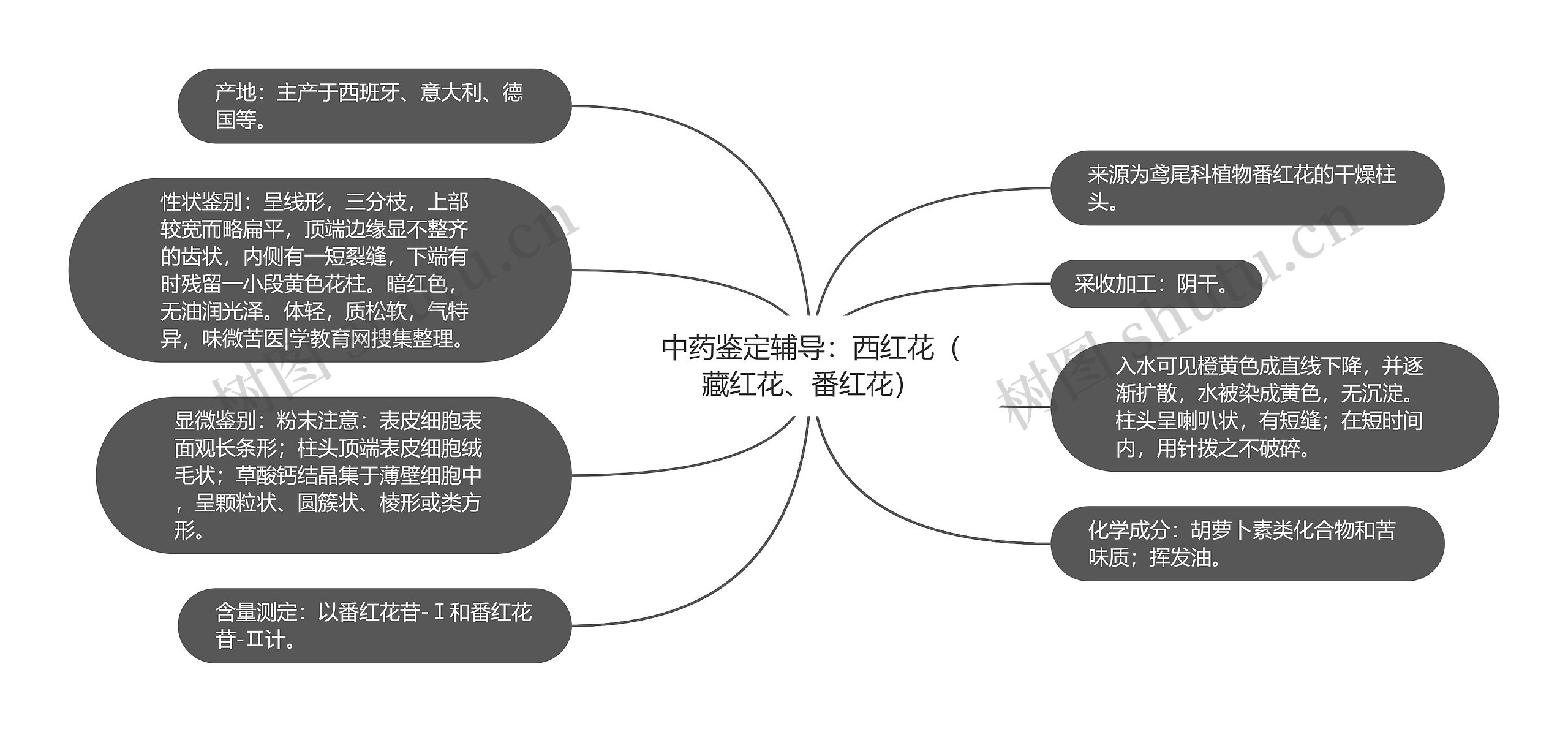 中药鉴定辅导：西红花（藏红花、番红花）思维导图