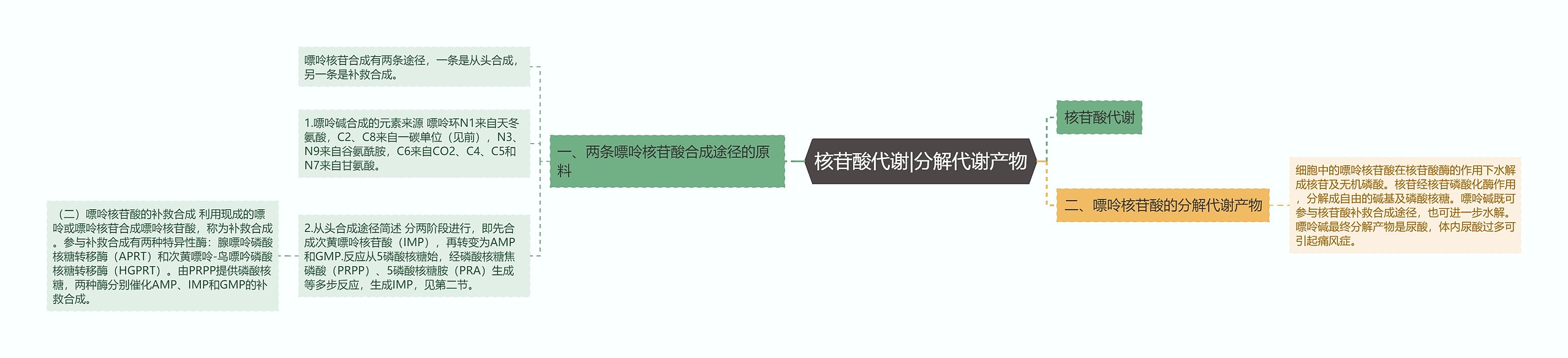 核苷酸代谢|分解代谢产物 核苷酸代谢|分解代谢产物