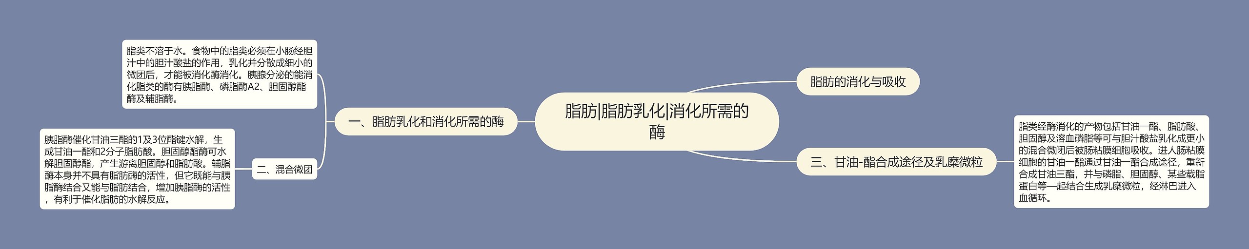 脂肪|脂肪乳化|消化所需的酶