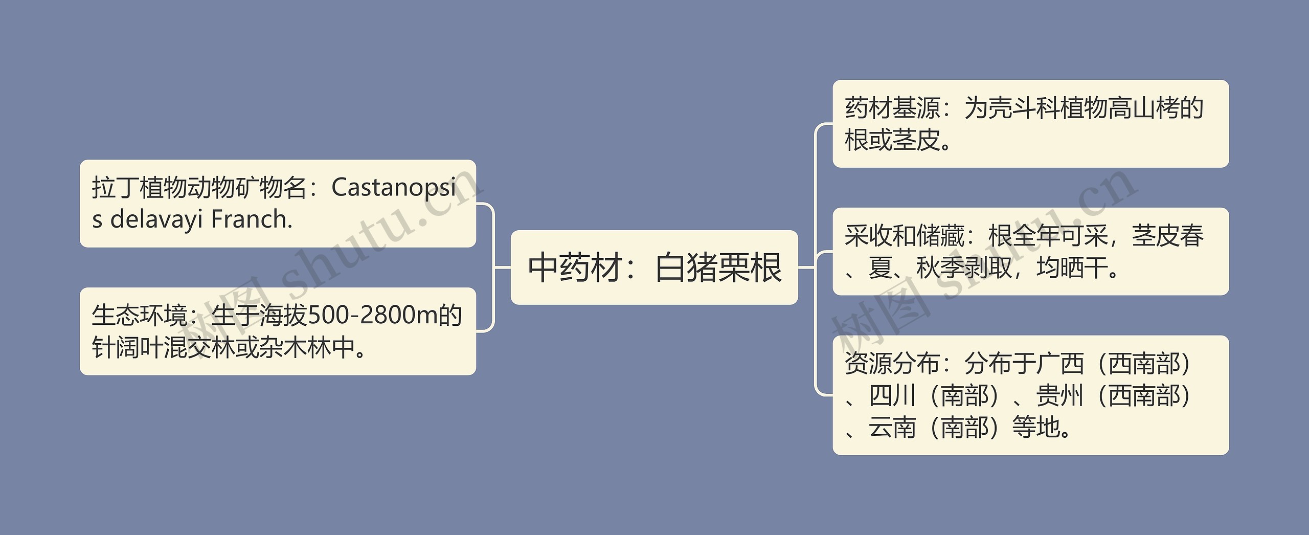 中药材：白猪栗根思维导图