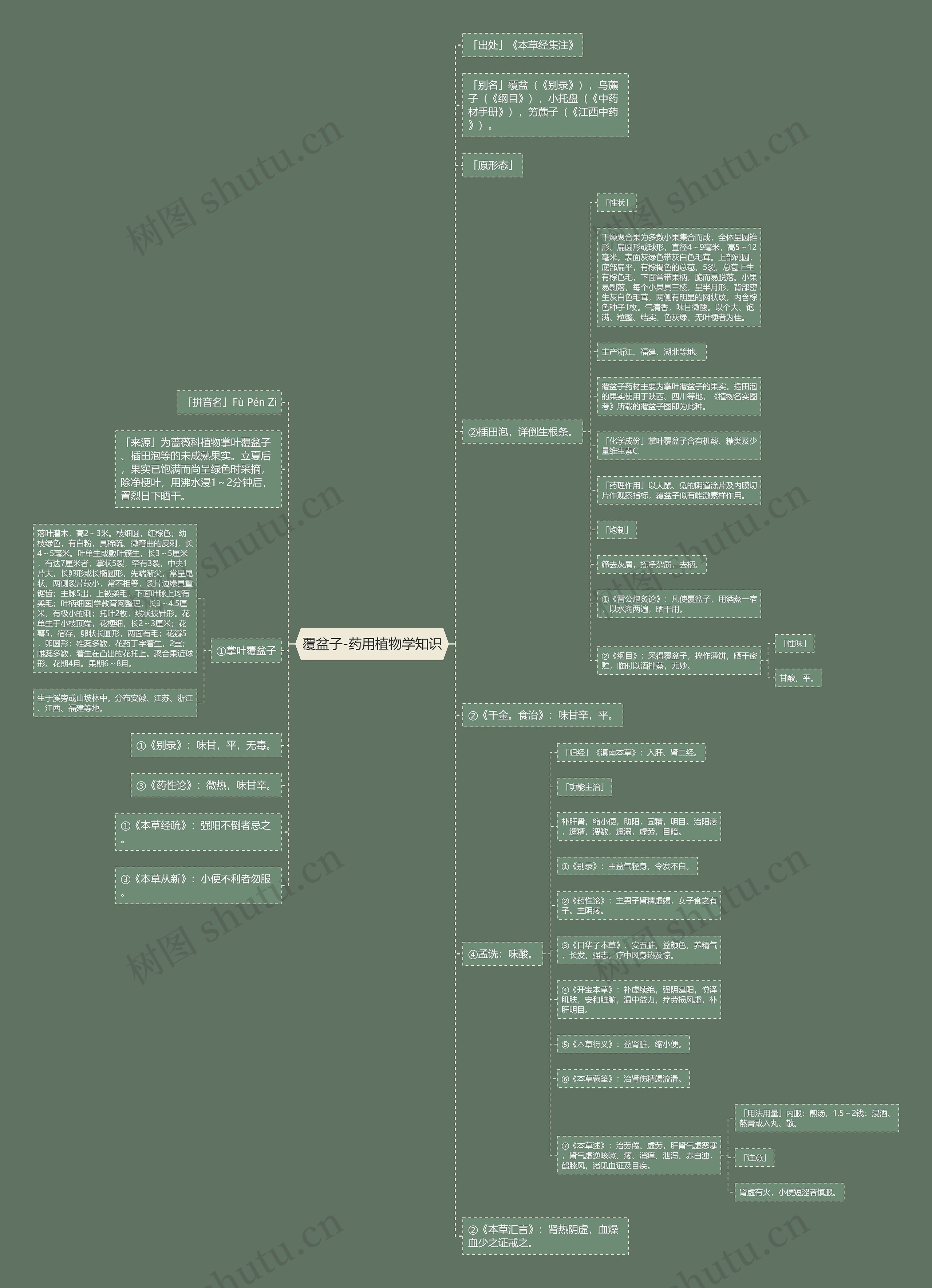 覆盆子-药用植物学知识 覆盆子-药用植物学知识
