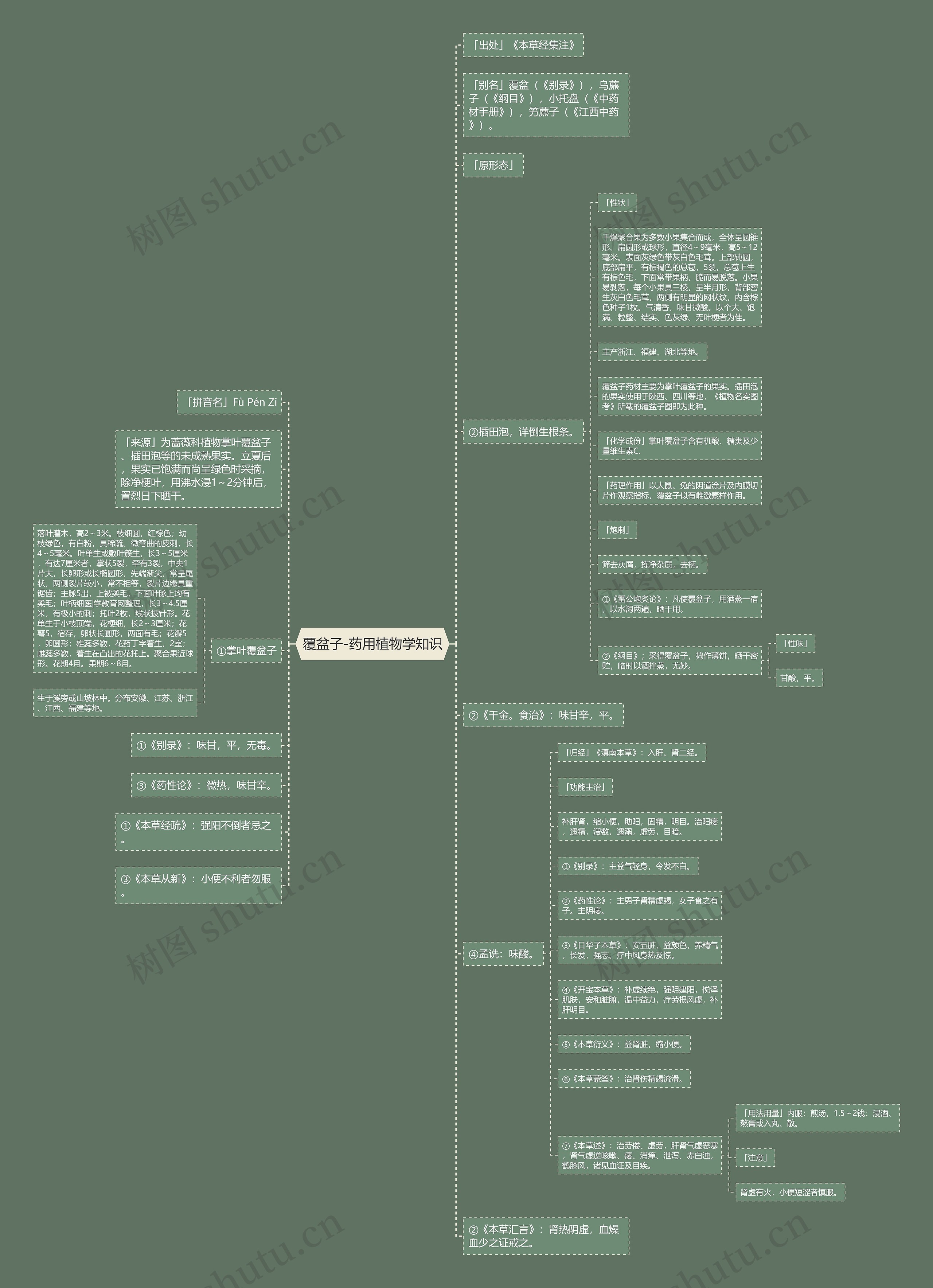 覆盆子-药用植物学知识思维导图