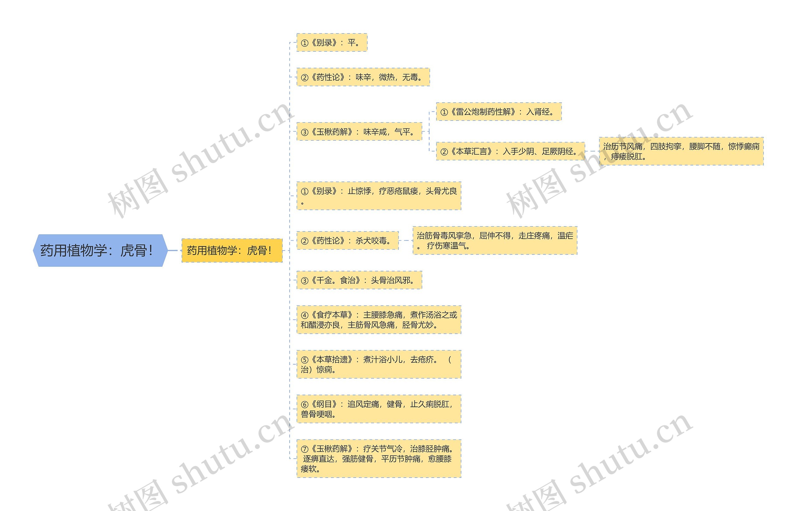 药用植物学:虎骨! 药用植物学:虎骨!
