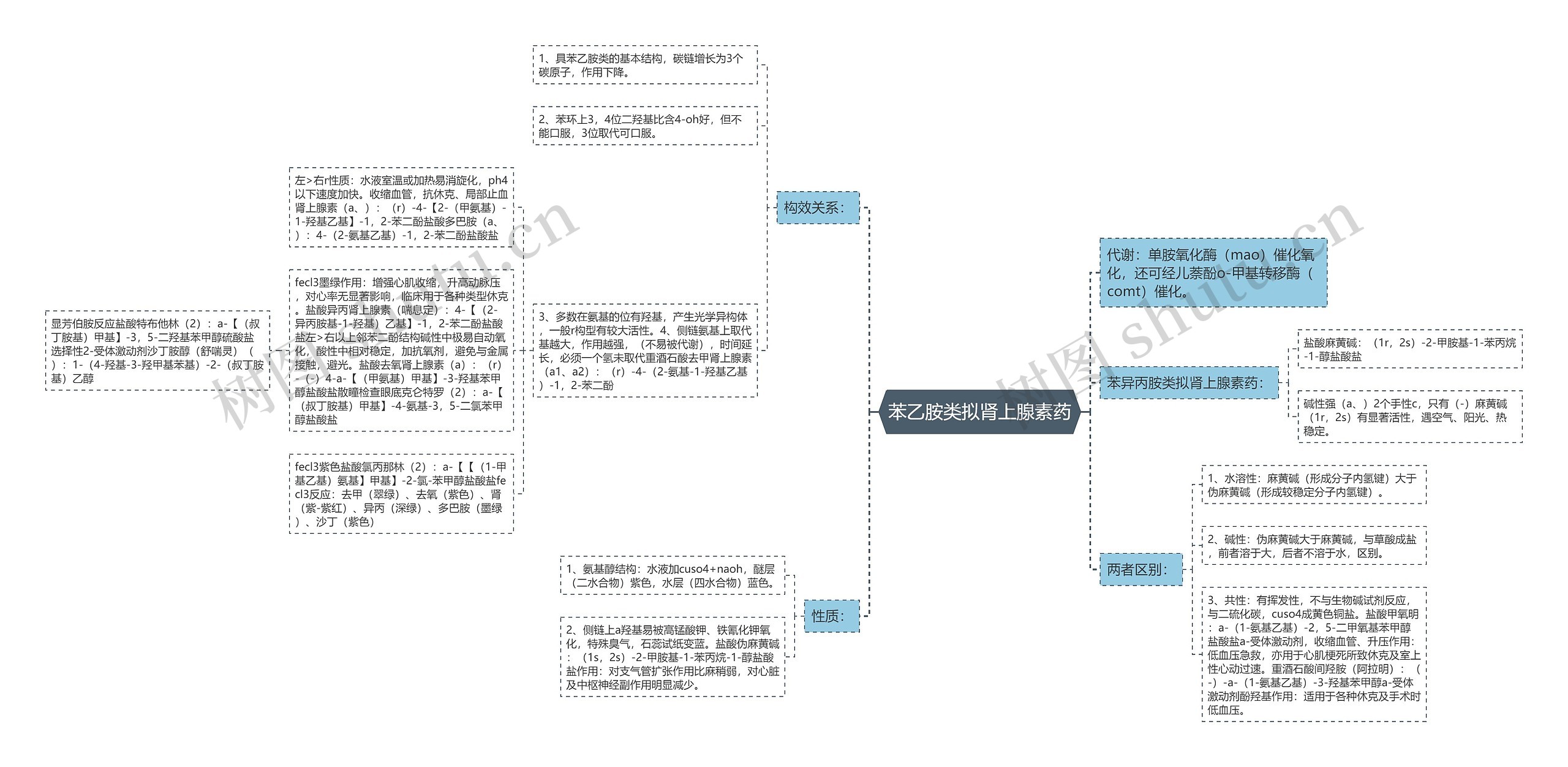 苯乙胺类拟肾上腺素药思维导图