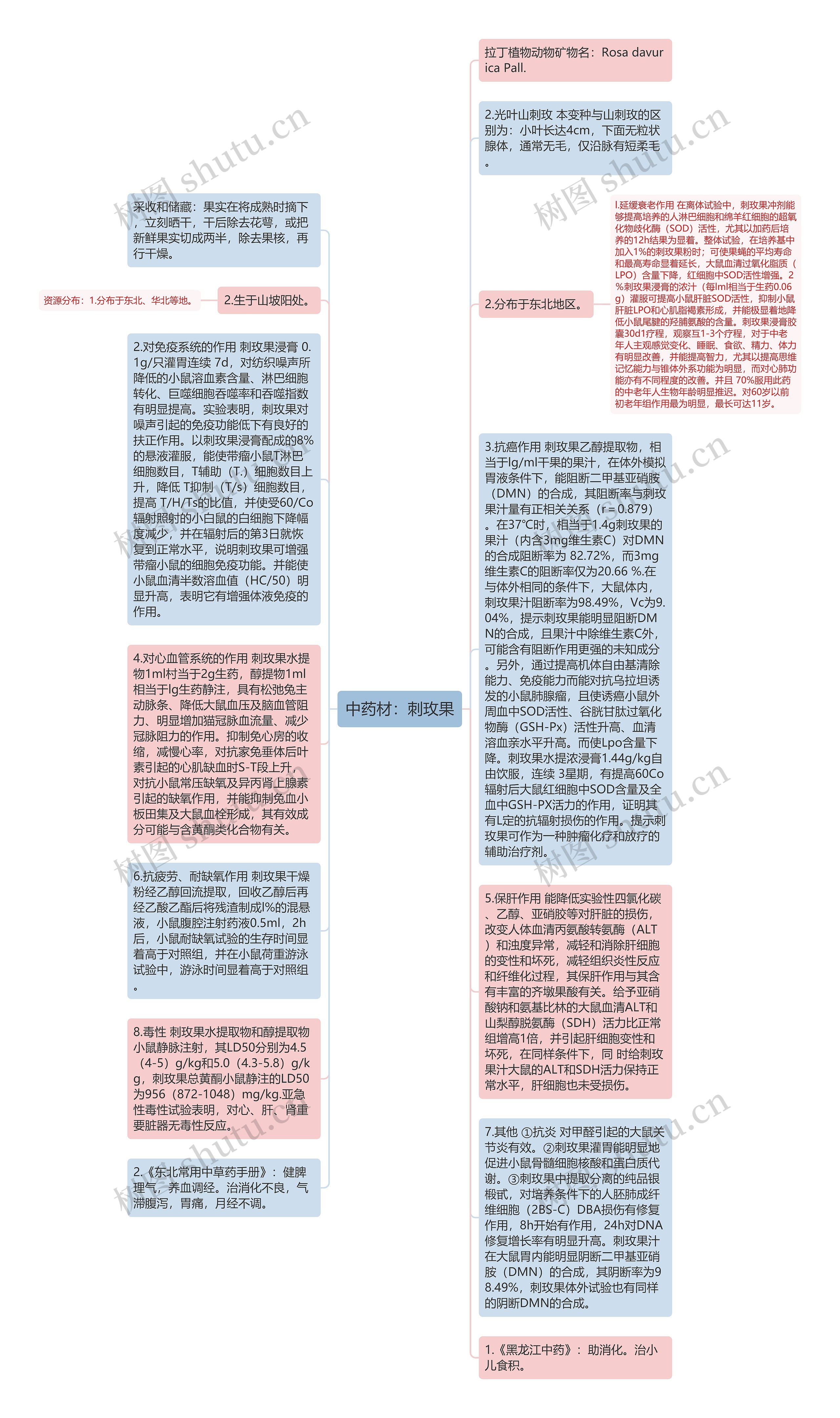 中药材：刺玫果思维导图