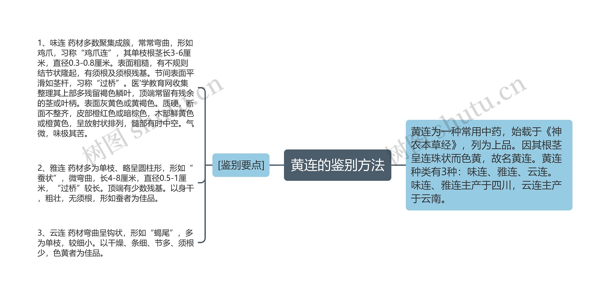 黄连的鉴别方法思维导图