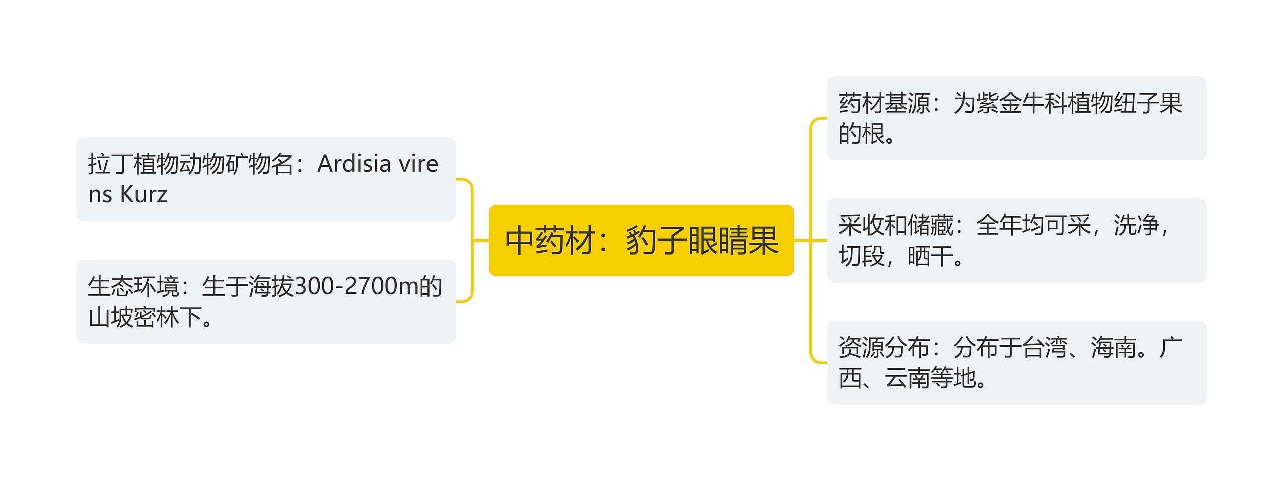 中药材:豹子眼睛果 中药材:豹子眼睛果