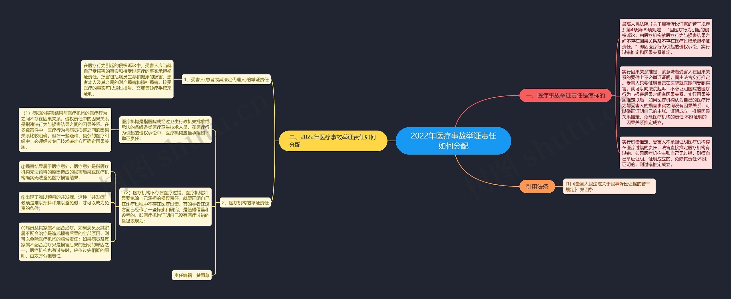 2022年医疗事故举证责任如何分配思维导图