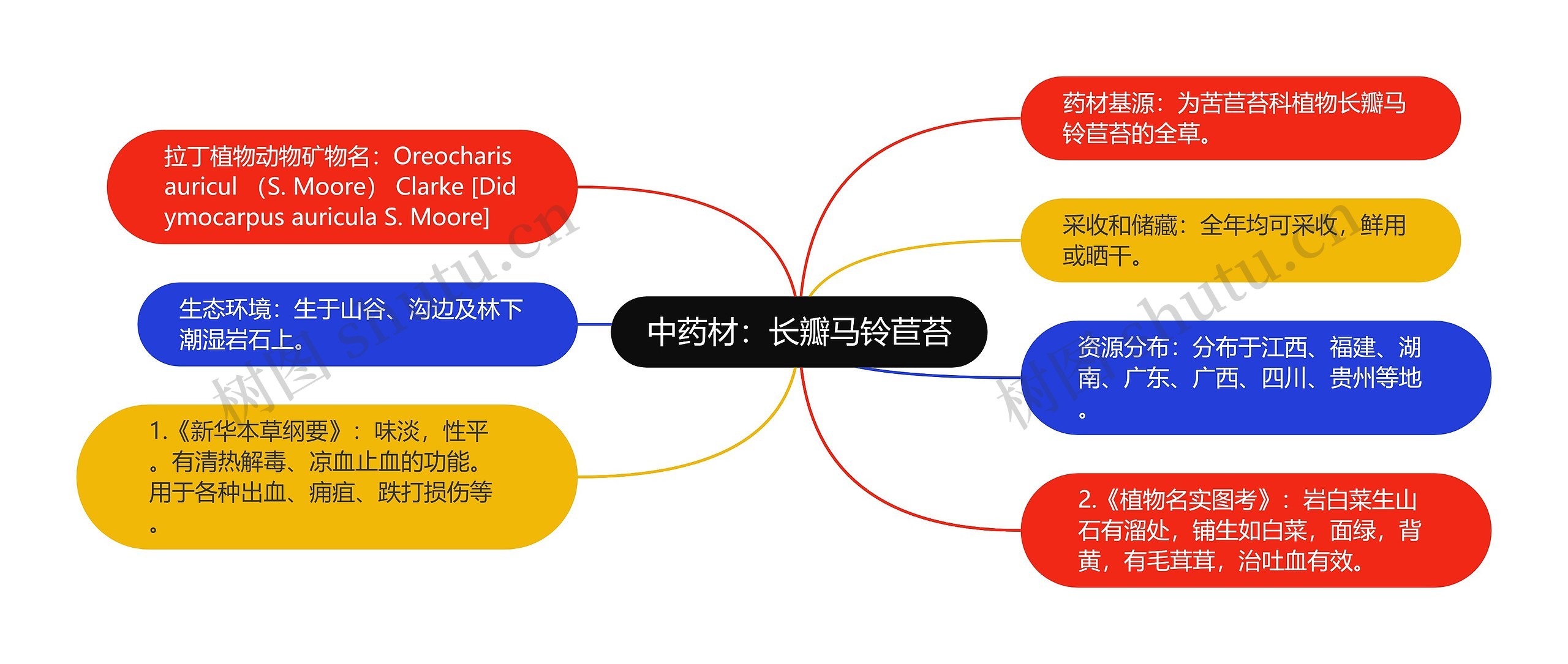 中药材：长瓣马铃苣苔