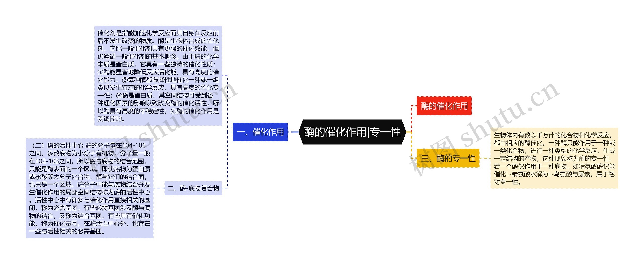 酶的催化作用|专一性