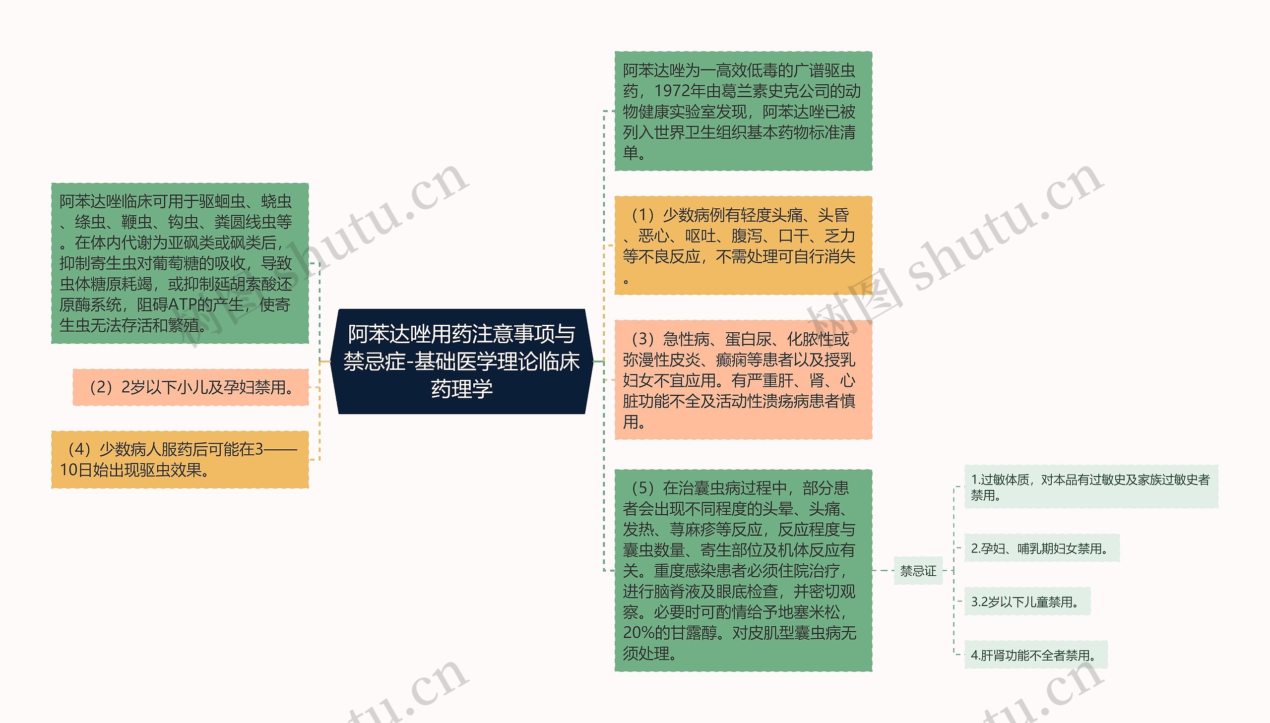阿苯达唑用药注意事项与禁忌症-基础医学理论临床药理学
