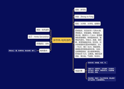 肿节风-祛风湿药