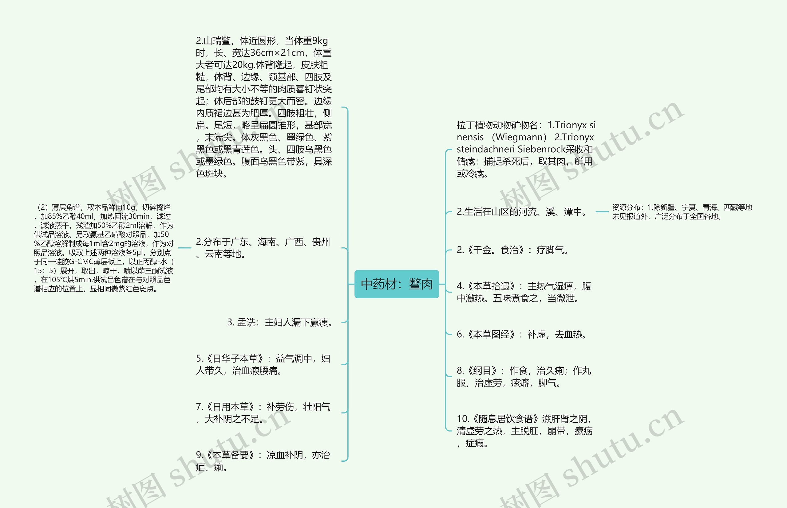 中药材：鳖肉思维导图