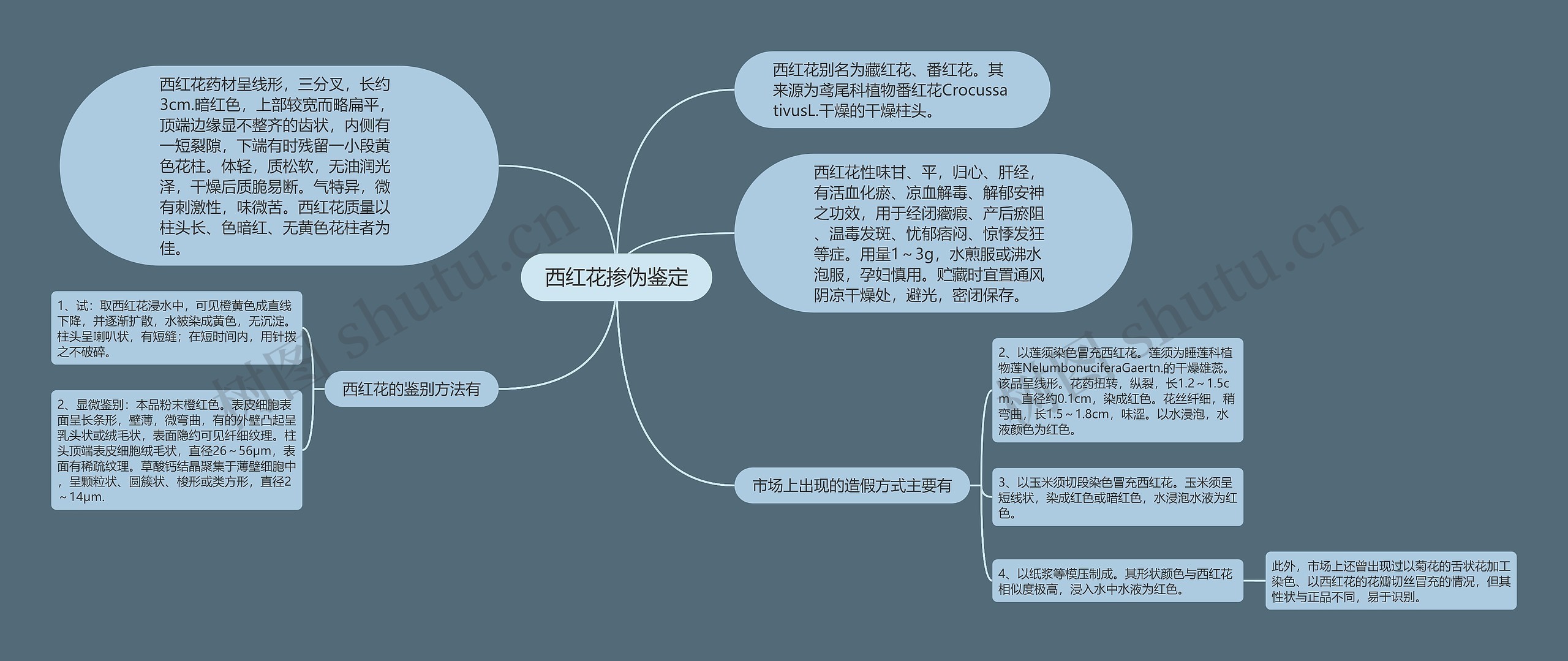 西红花掺伪鉴定思维导图