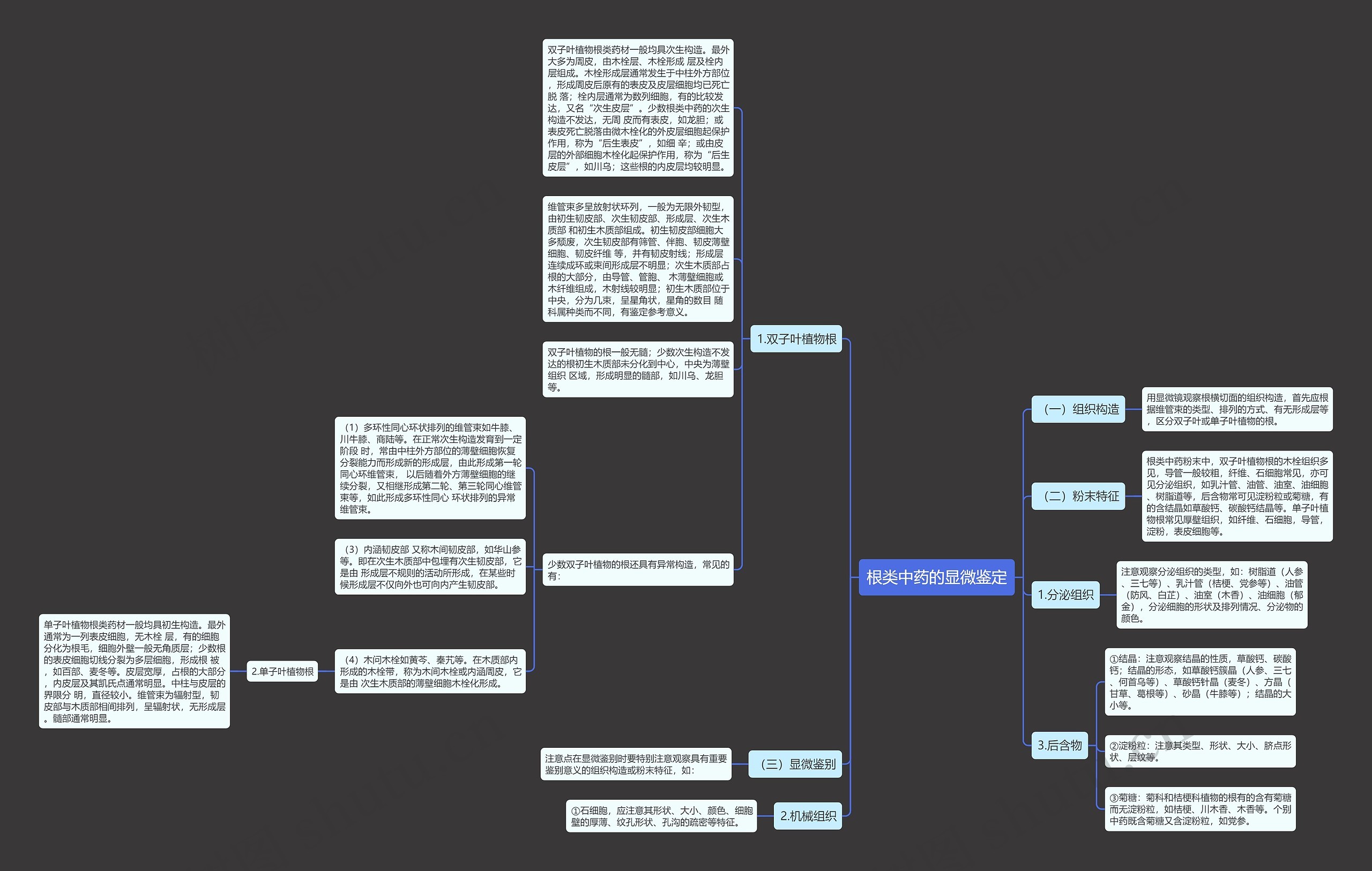 根类中药的显微鉴定 根类中药的显微鉴定