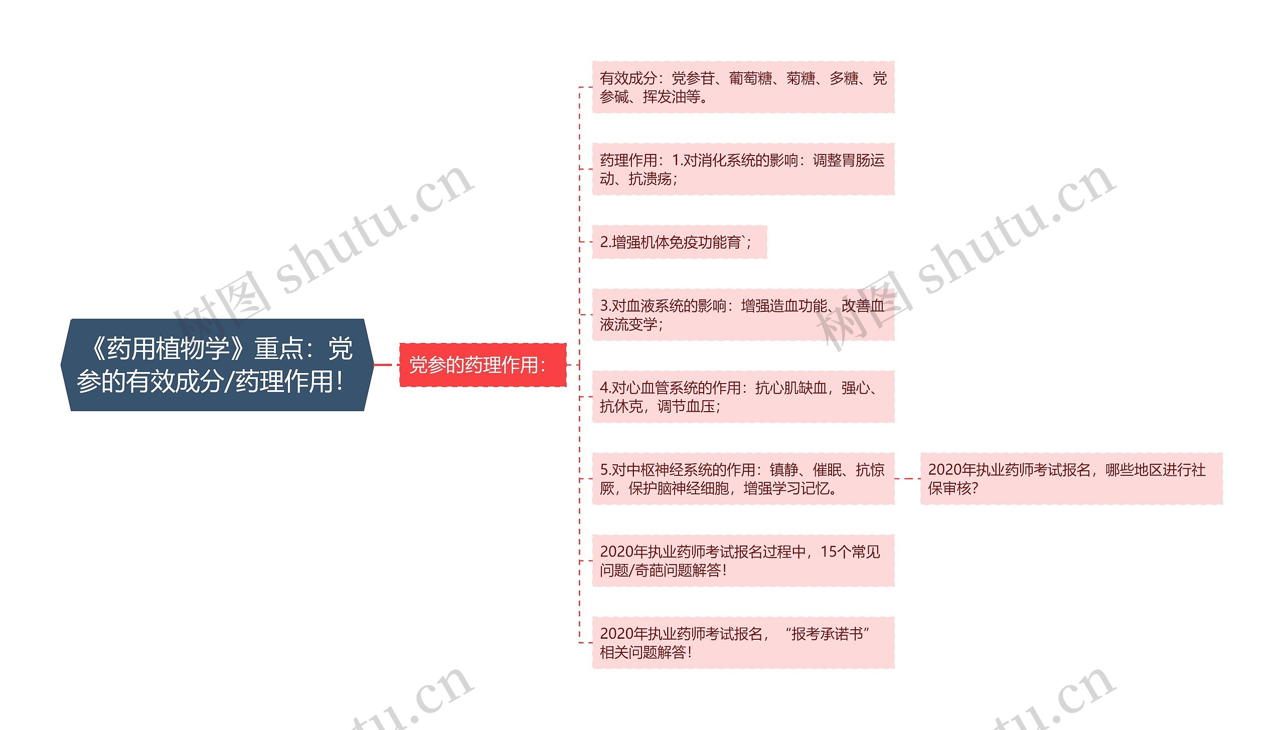 《药用植物学》重点：党参的有效成分/药理作用！