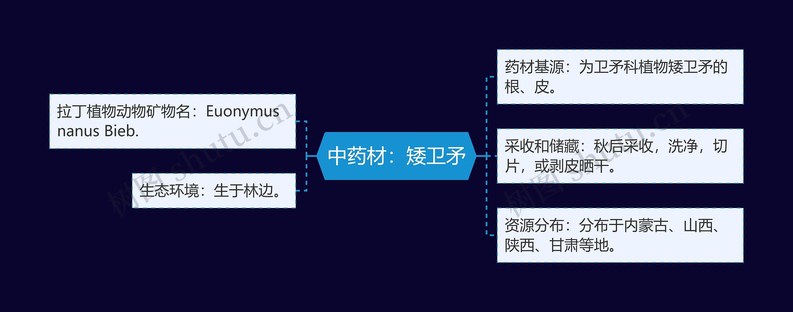 中药材：矮卫矛思维导图