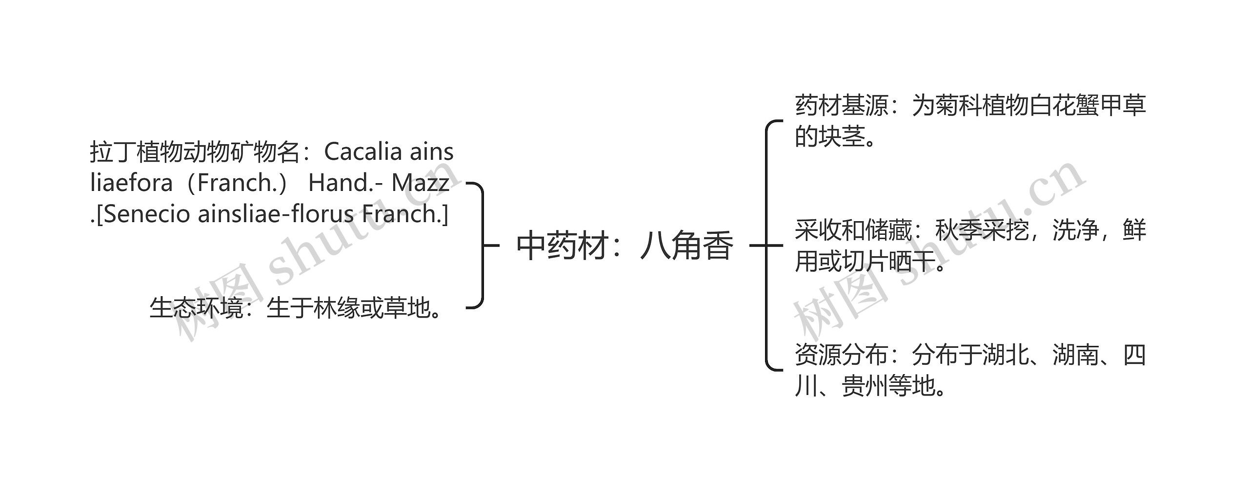 中药材：八角香思维导图