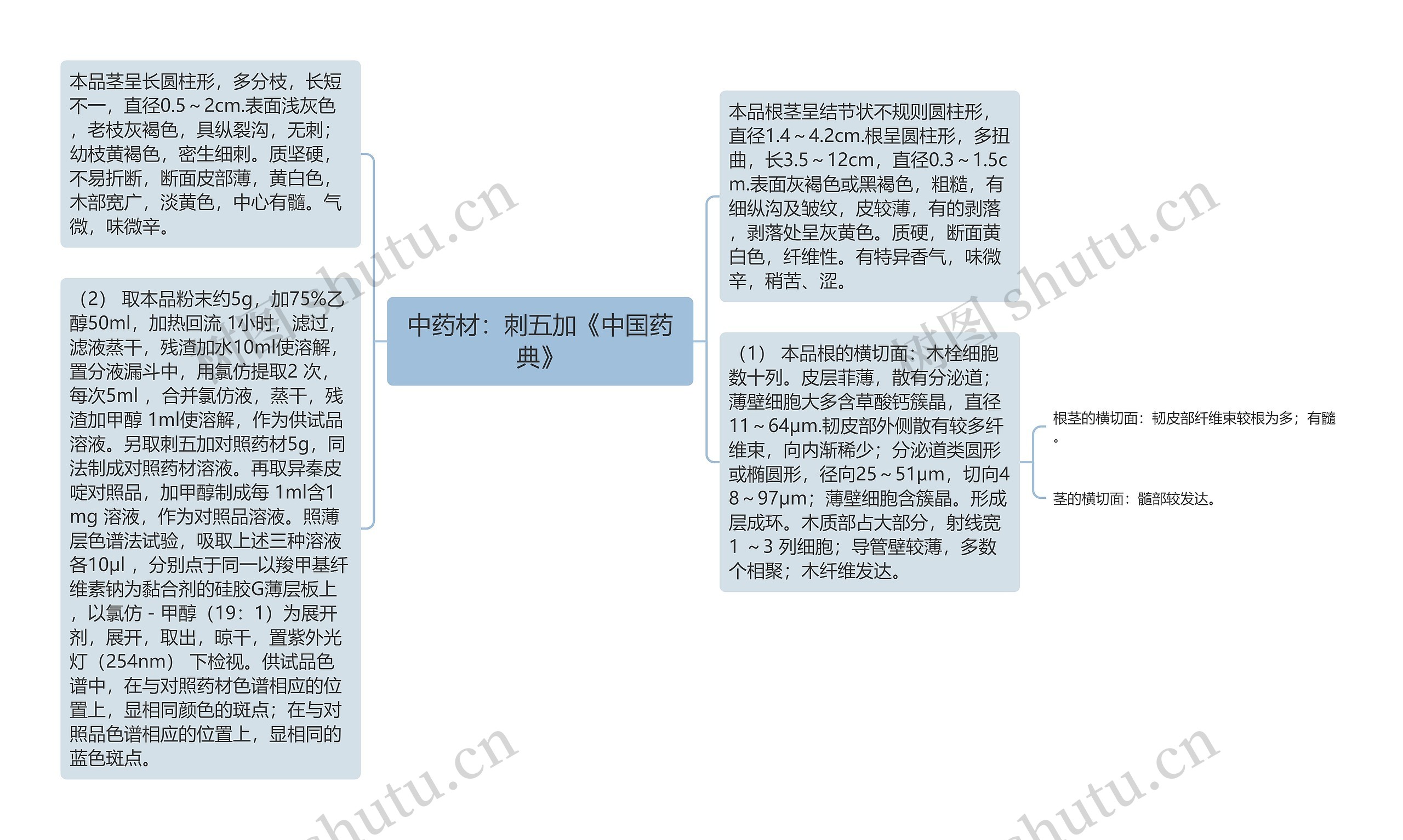 中药材：刺五加《中国药典》思维导图