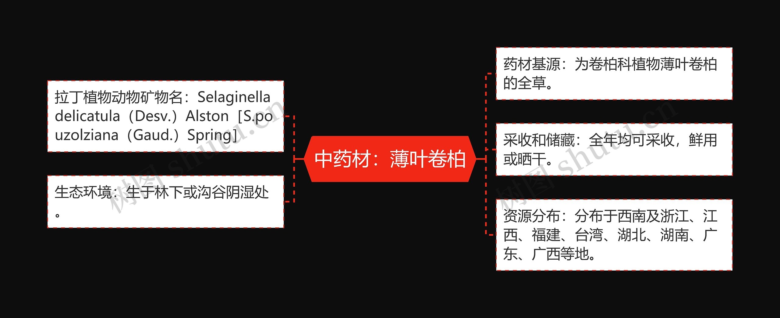 中药材：薄叶卷柏思维导图