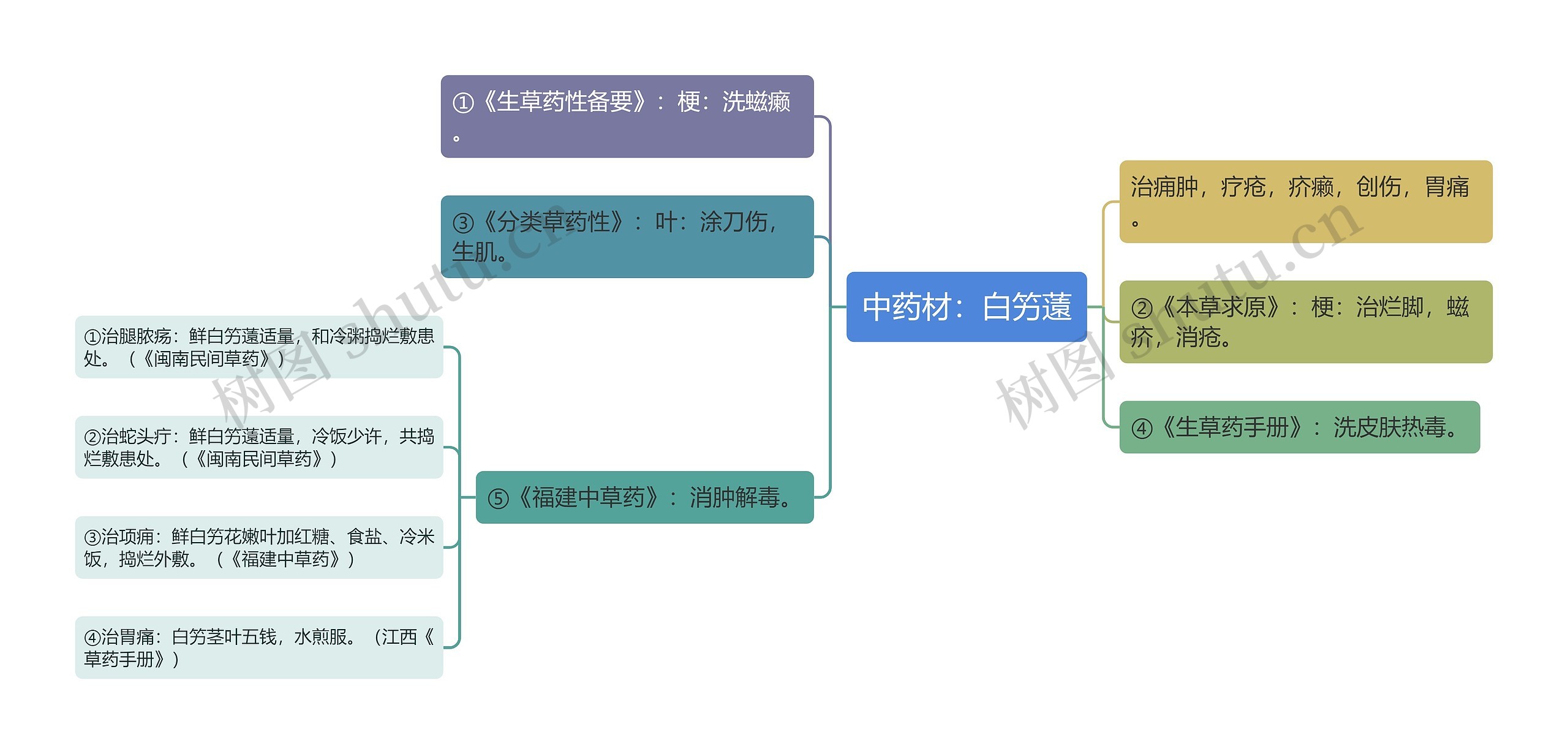 中药材：白竻薳思维导图