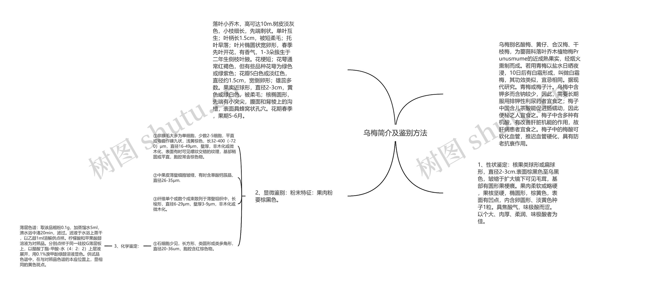 乌梅简介及鉴别方法
