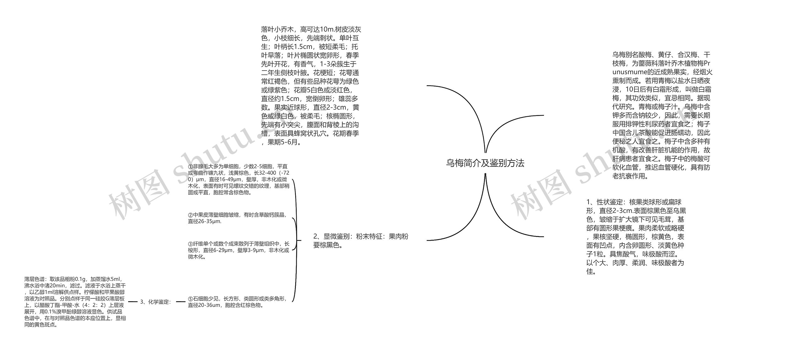 乌梅简介及鉴别方法