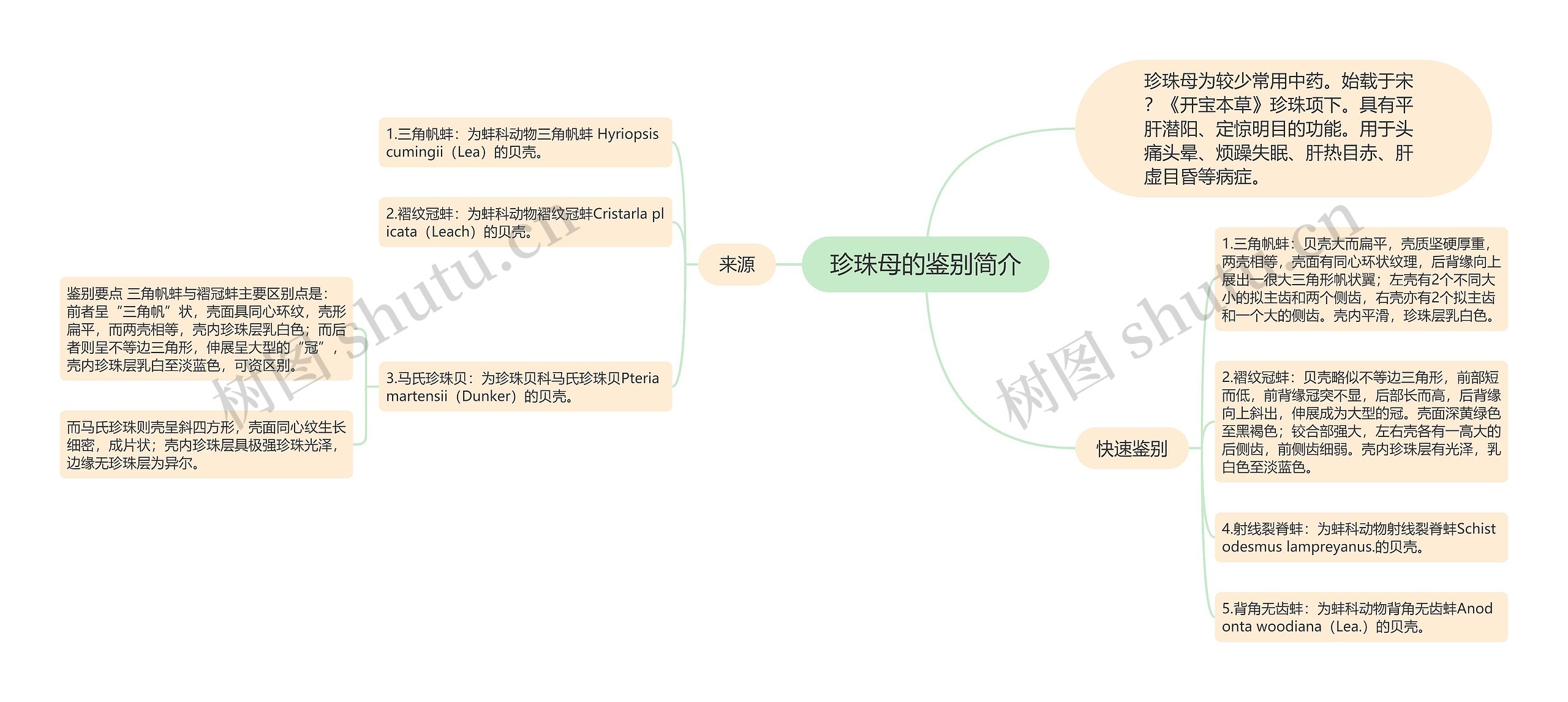 珍珠母的鉴别简介