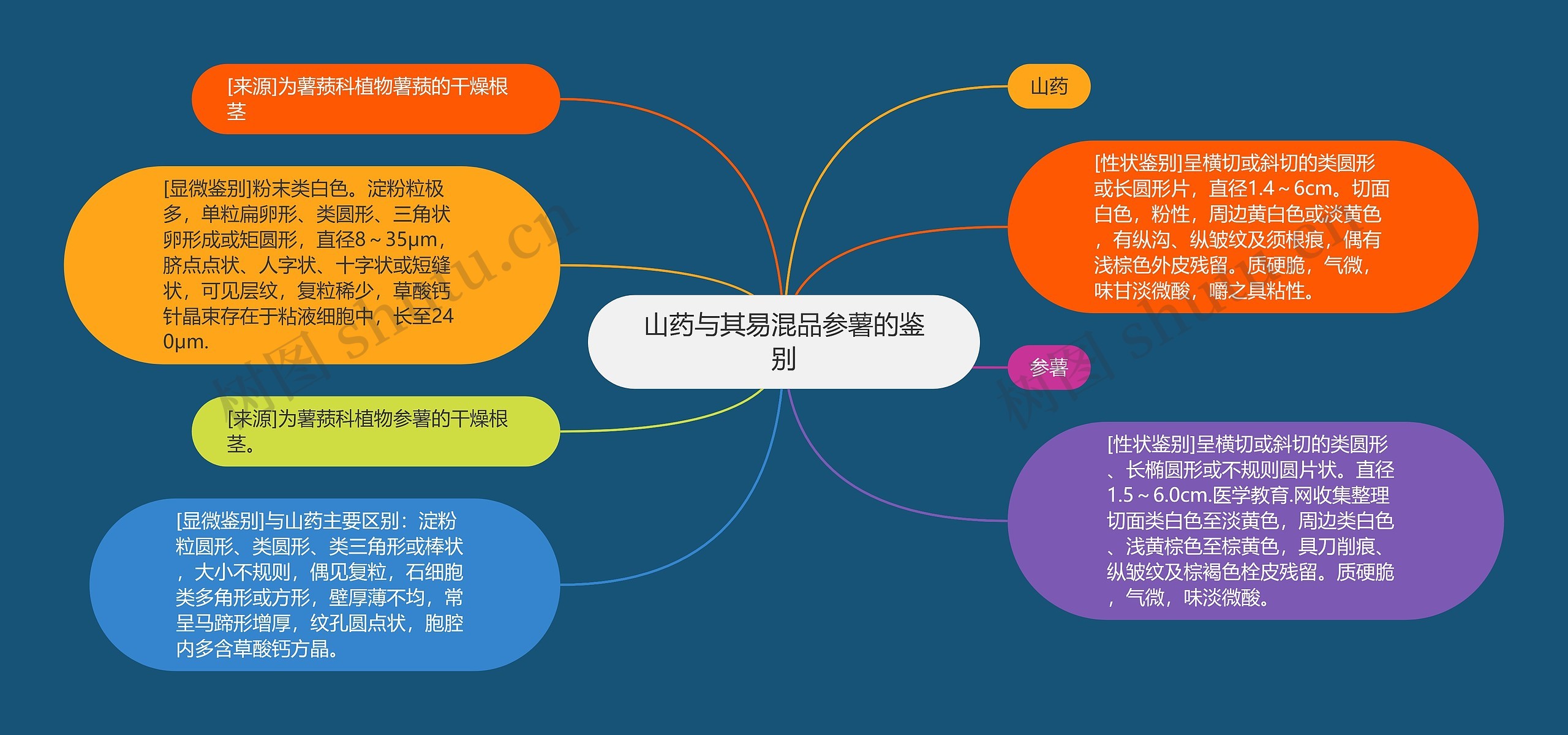 山药与其易混品参薯的鉴别