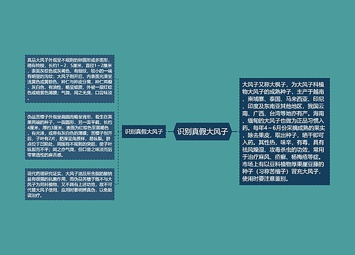 识别真假大风子