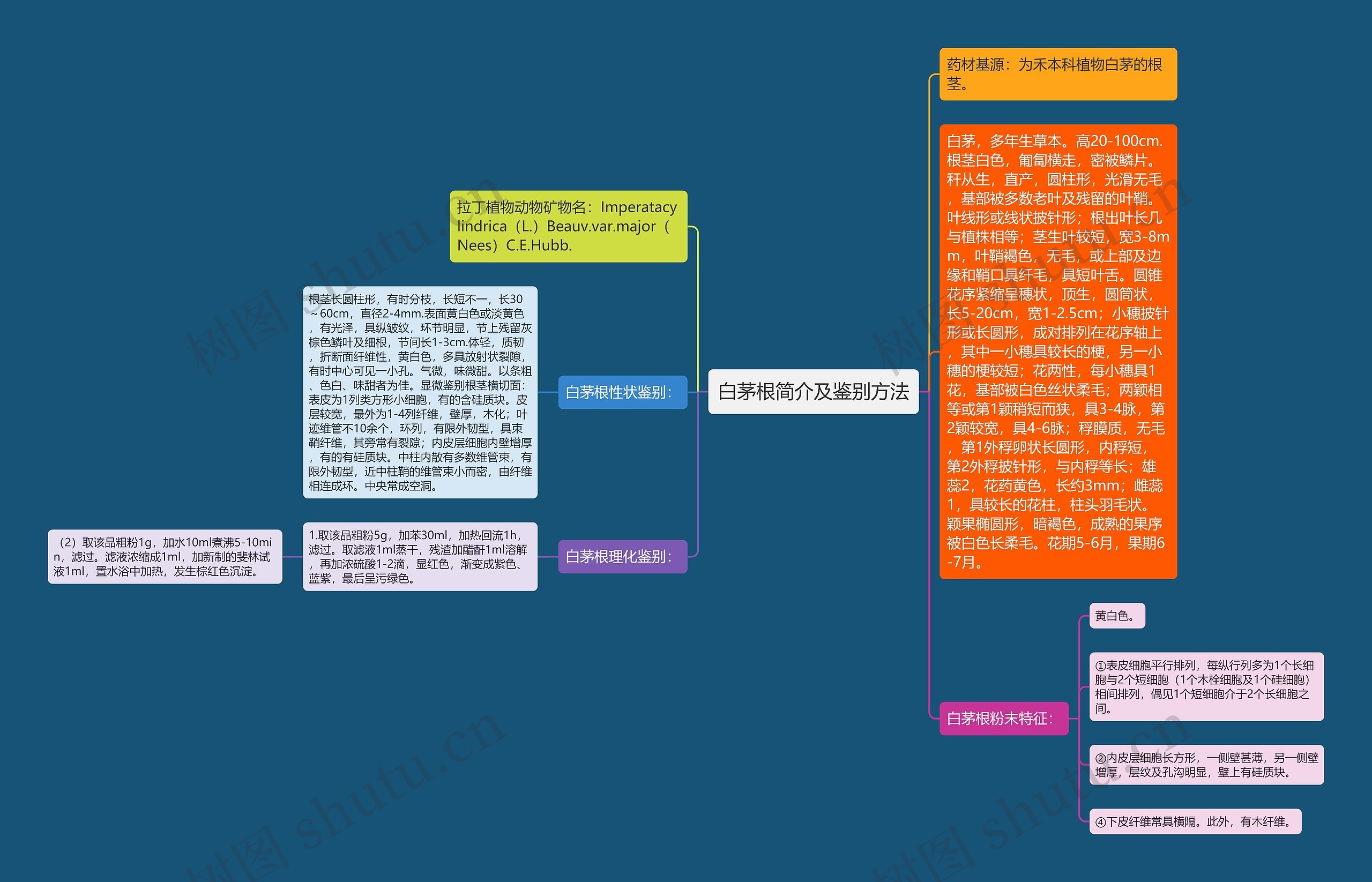 白茅根简介及鉴别方法思维导图