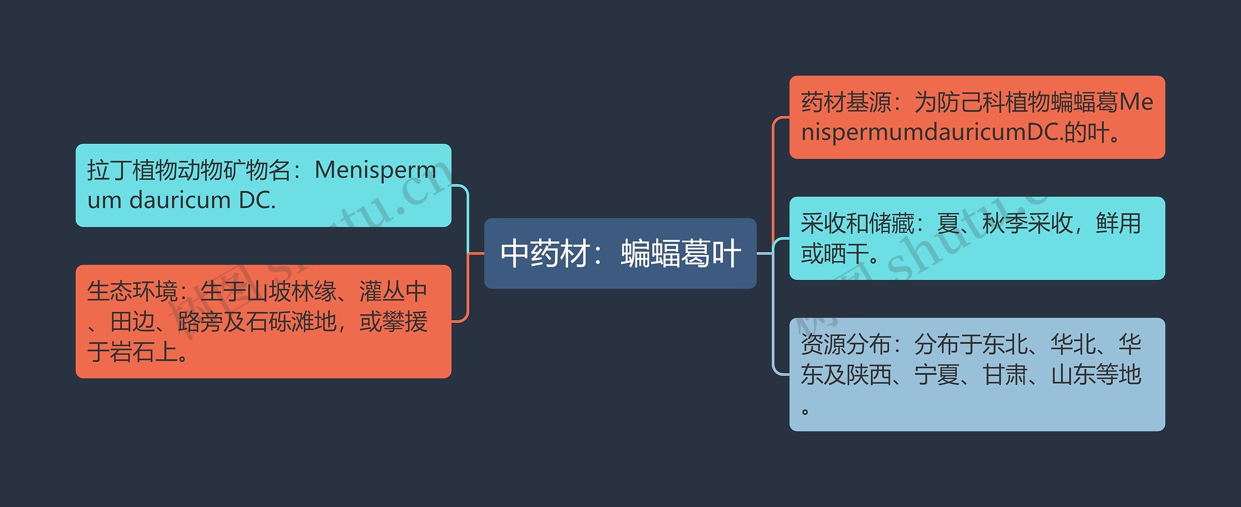 中药材：蝙蝠葛叶