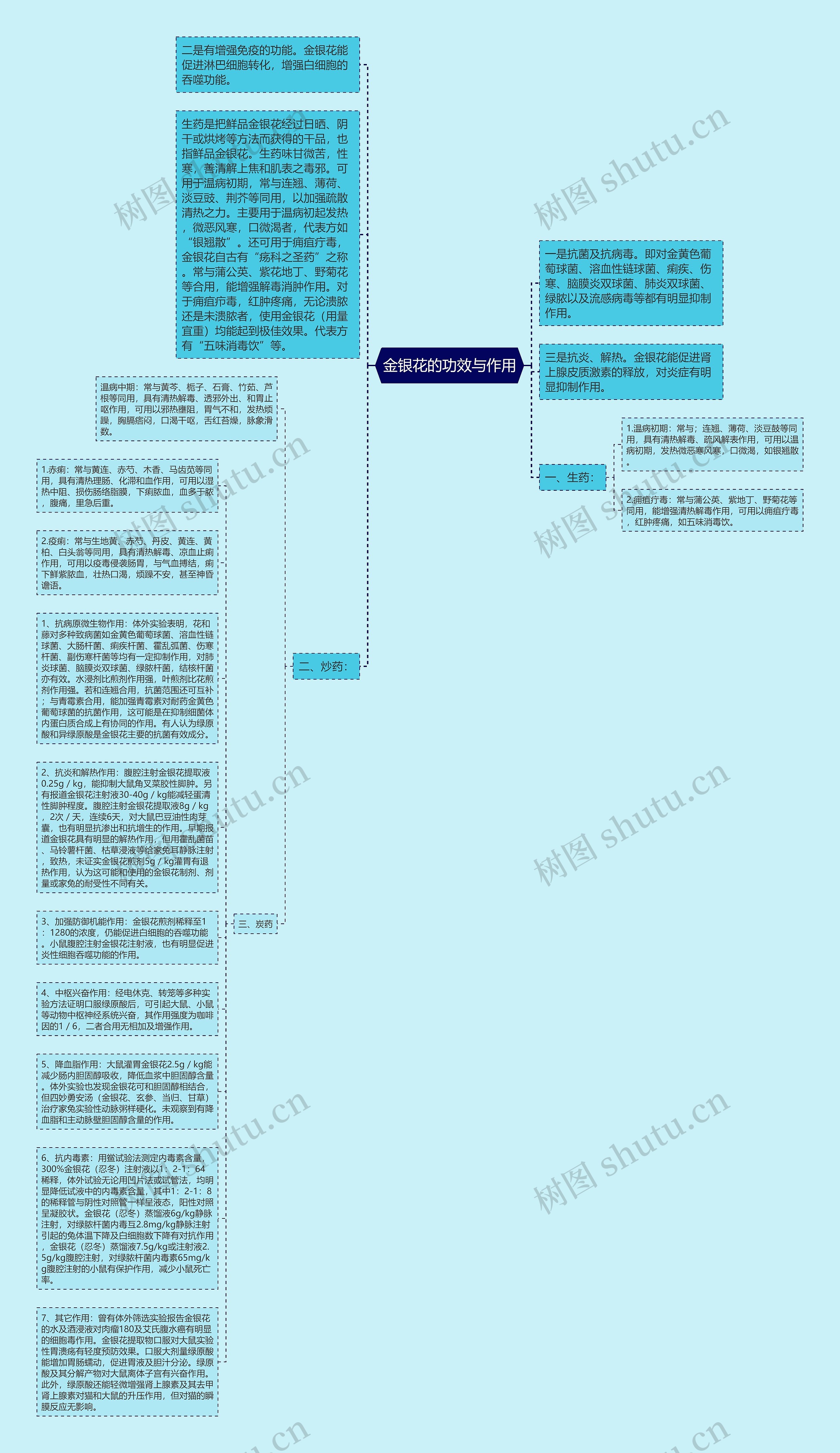 金银花的功效与作用思维导图