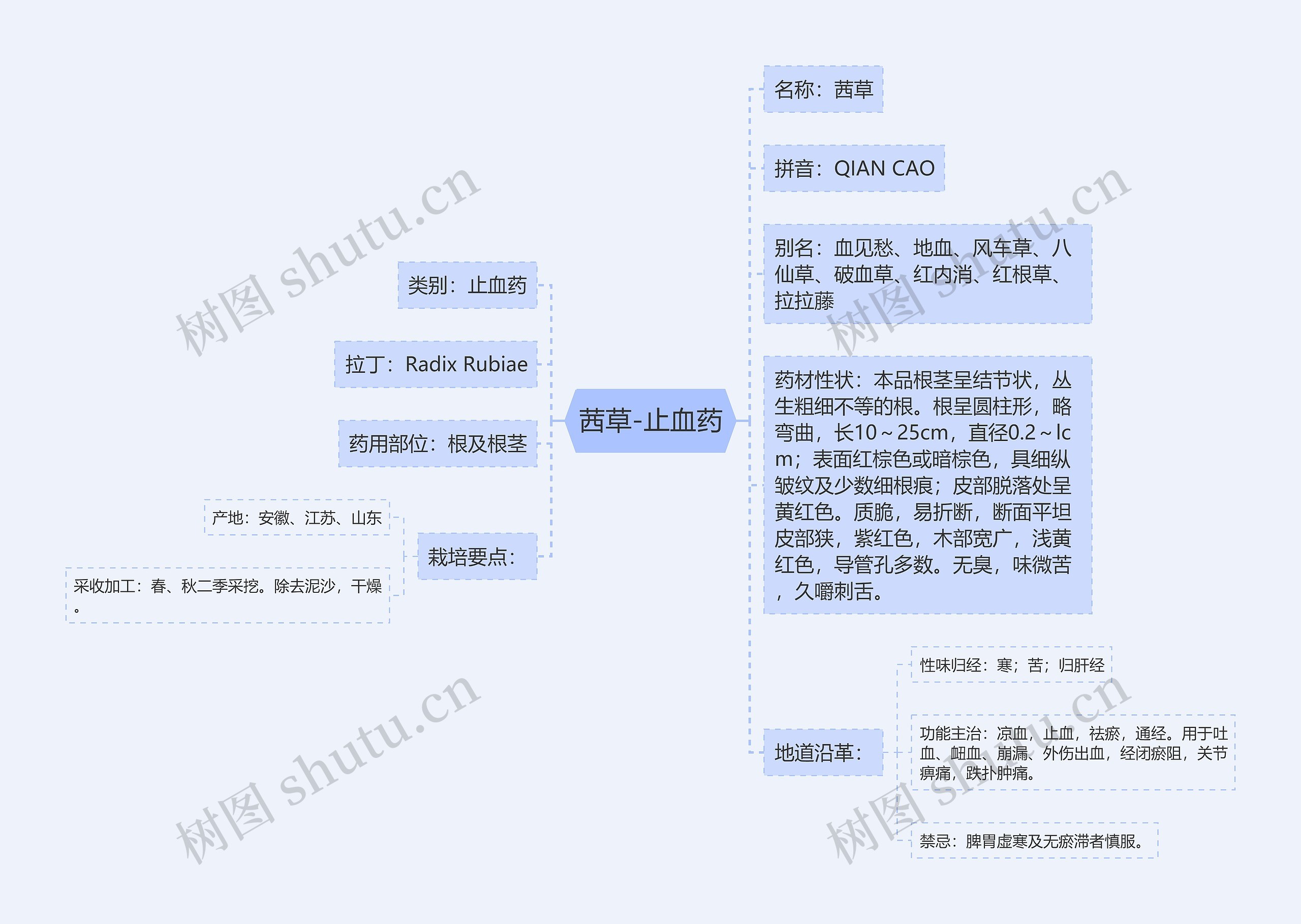 茜草-止血药思维导图