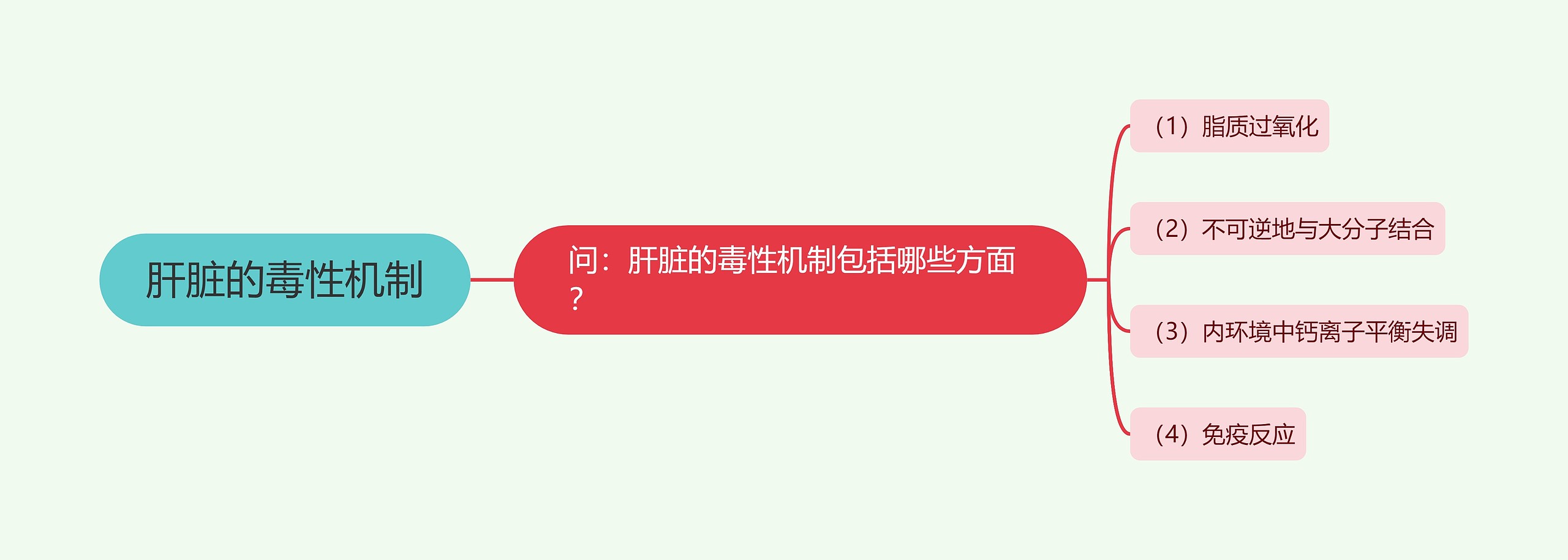 肝脏的毒性机制思维导图