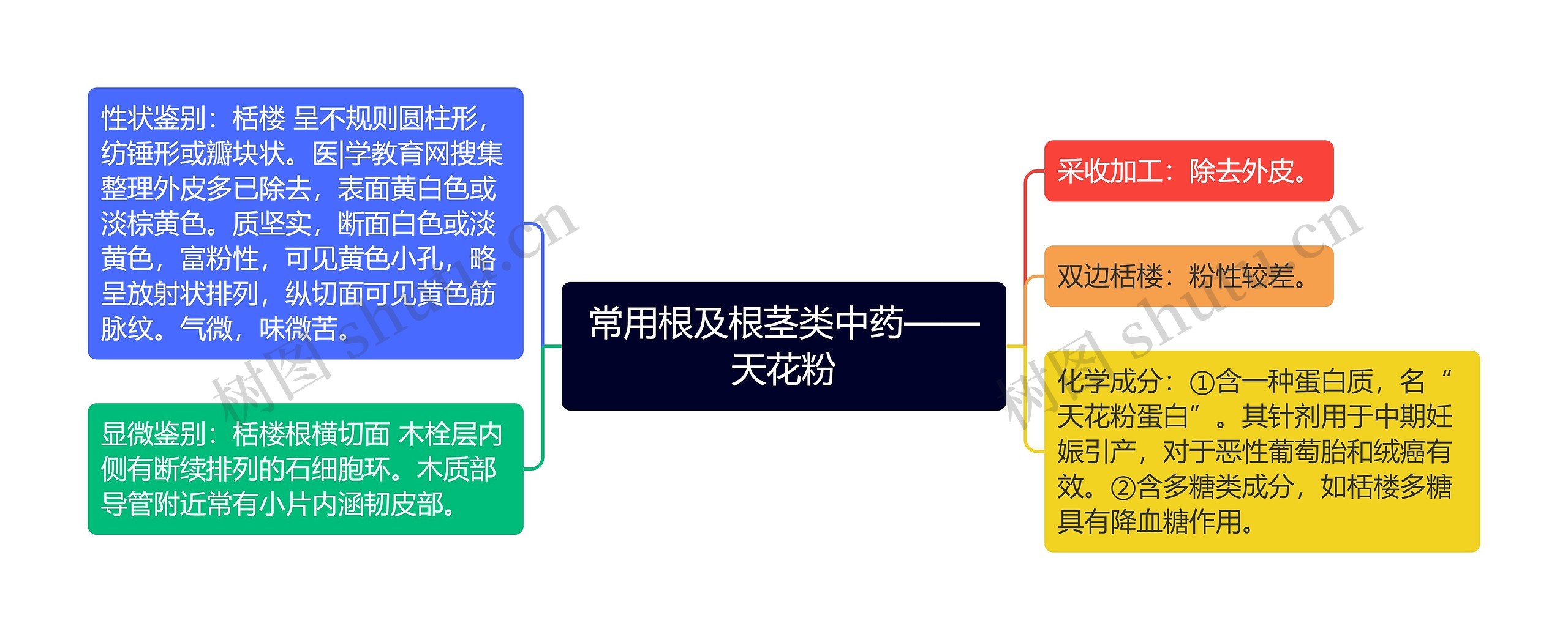 常用根及根茎类中药——天花粉