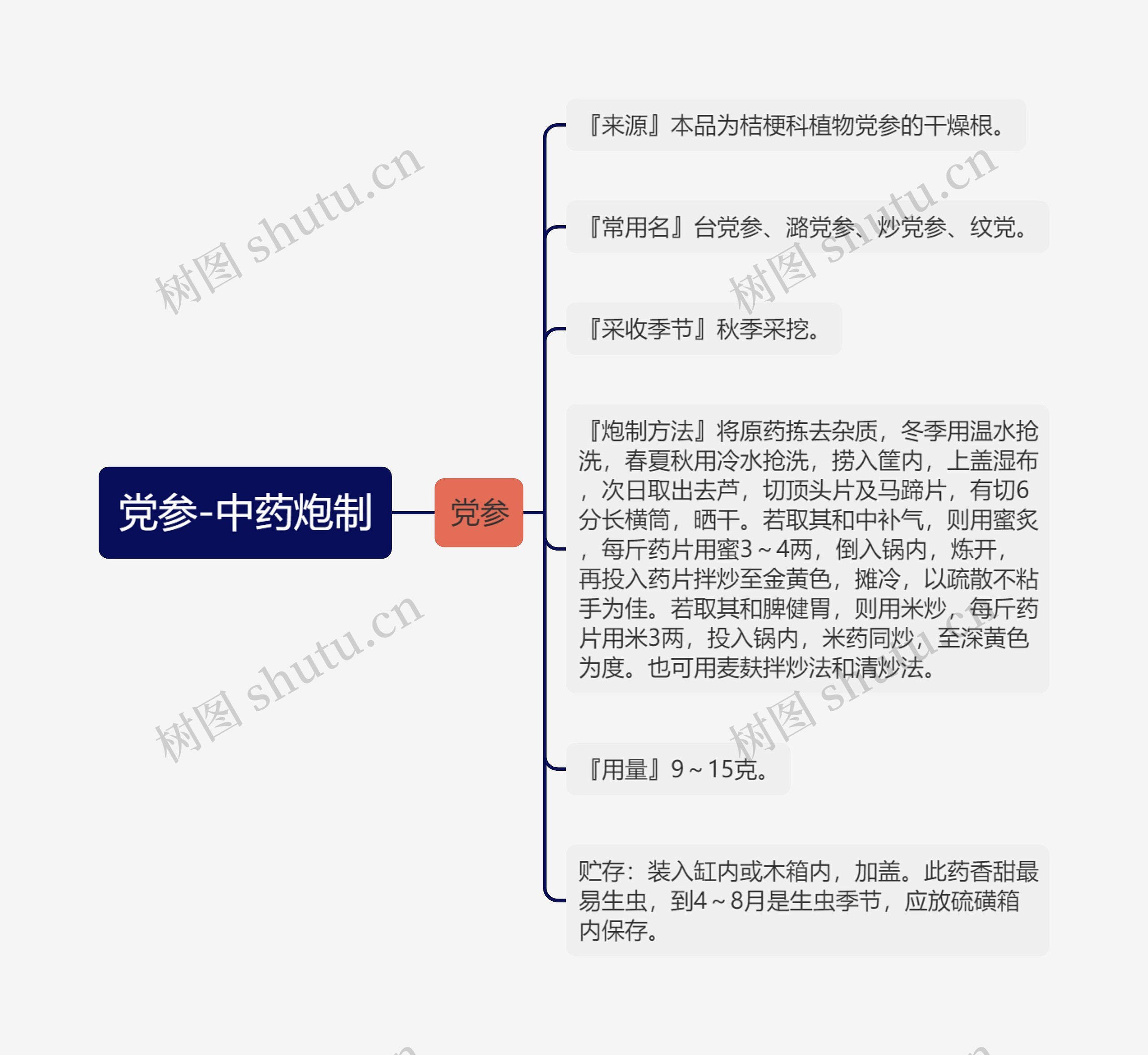 党参-中药炮制思维导图