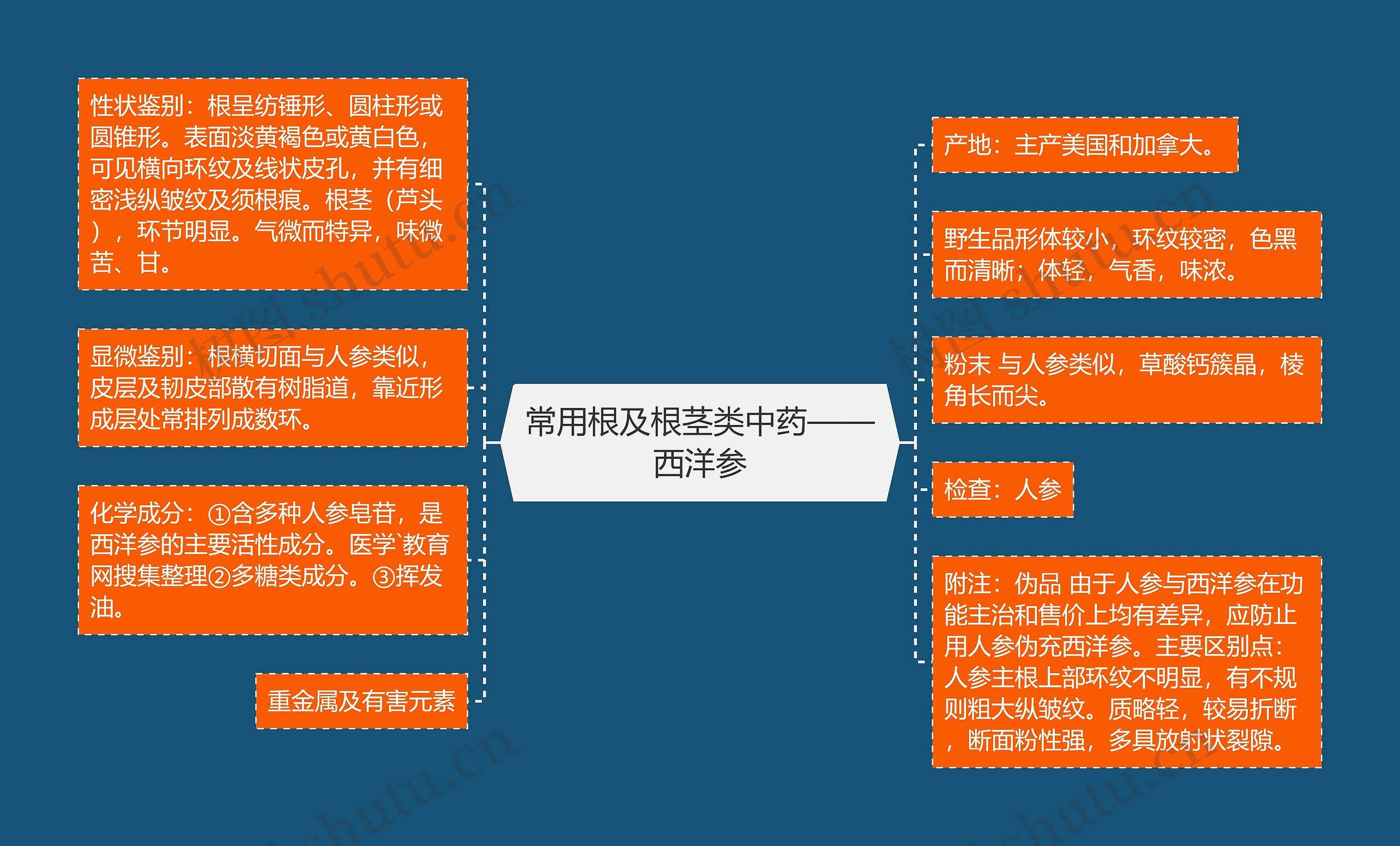 常用根及根茎类中药——西洋参思维导图