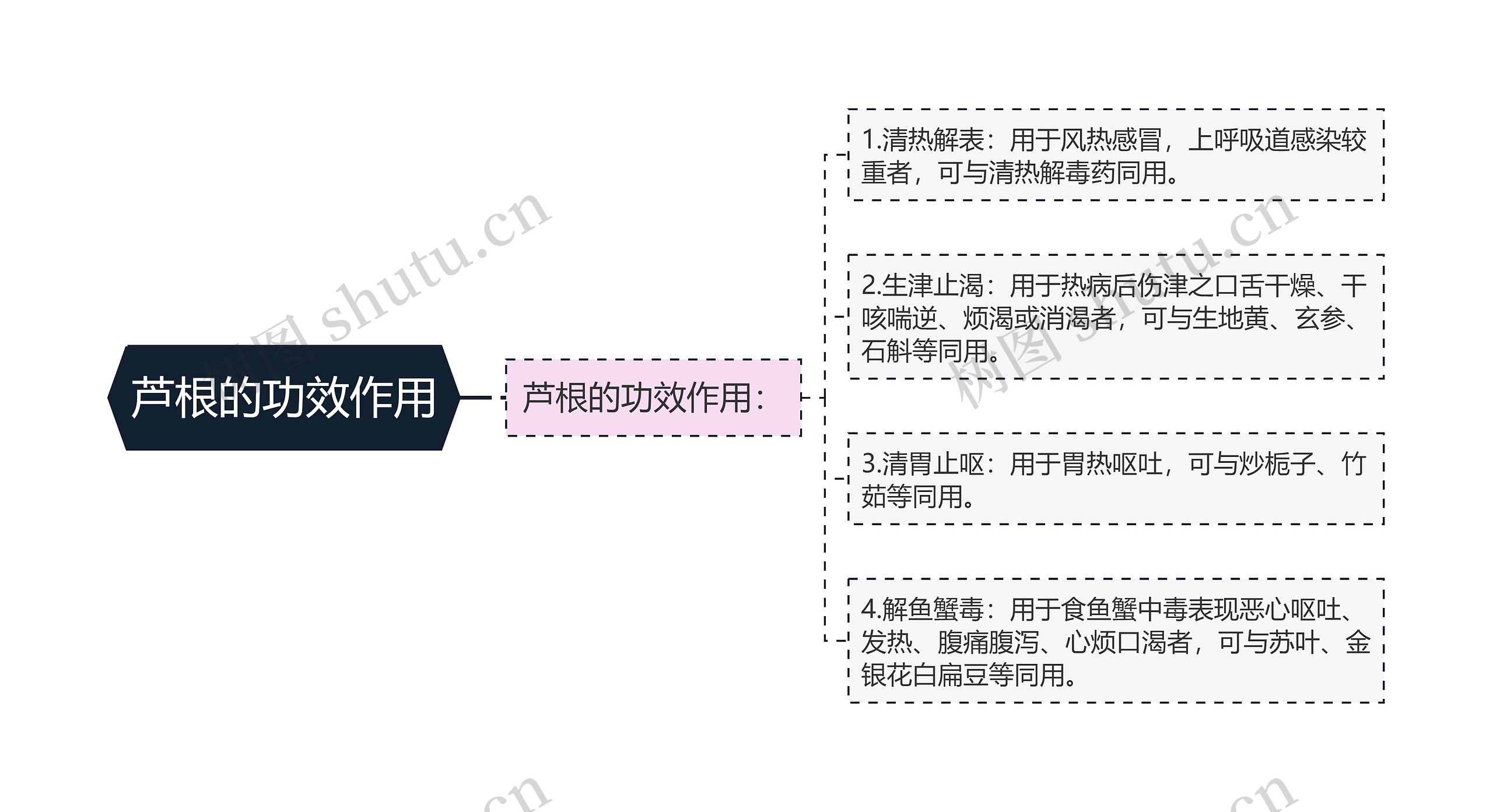 芦根的功效作用思维导图