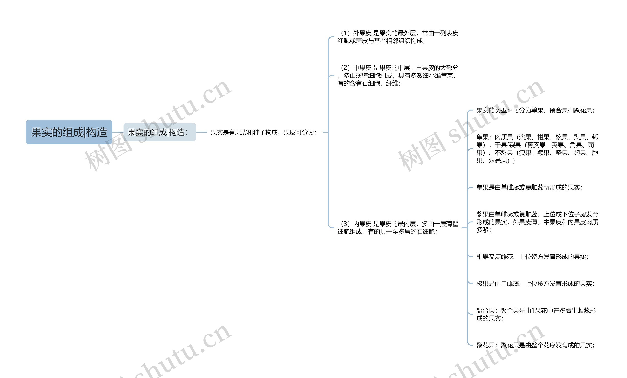 果实的组成|构造思维导图