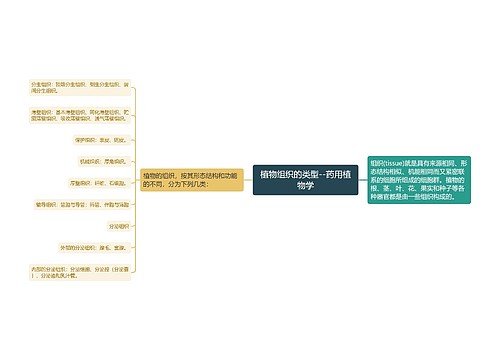 植物组织的类型--药用植物学