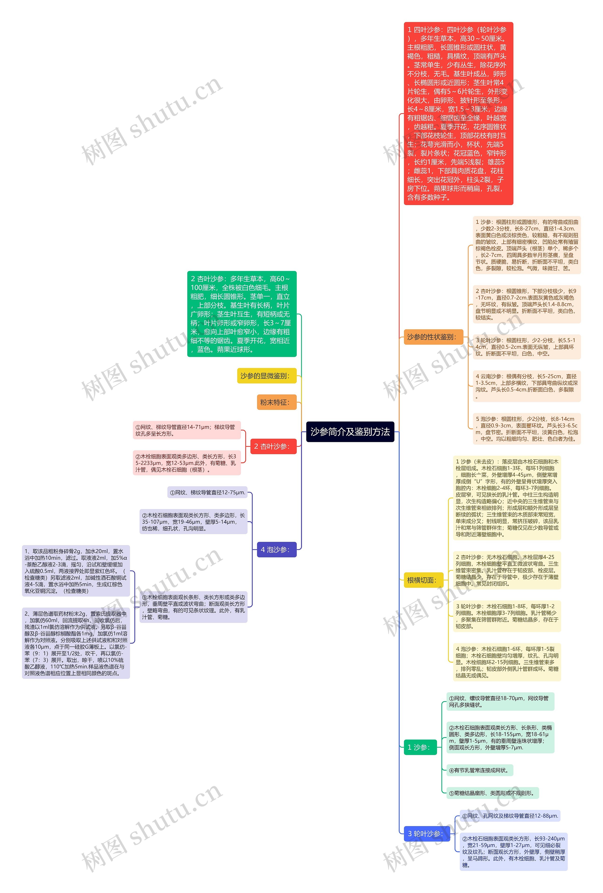 沙参简介及鉴别方法思维导图