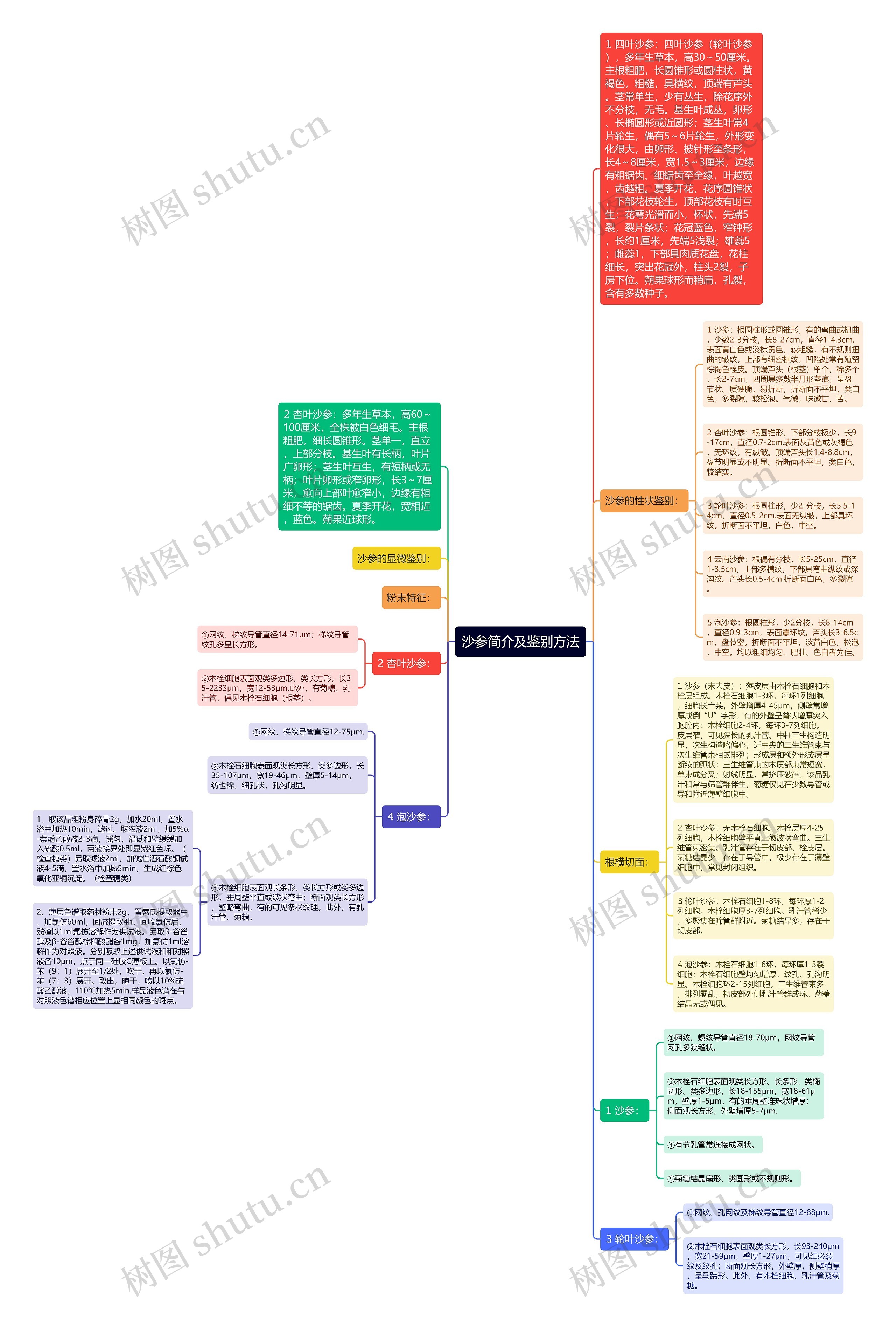 沙参简介及鉴别方法思维导图高清图 沙参简介及鉴别方法思维导图