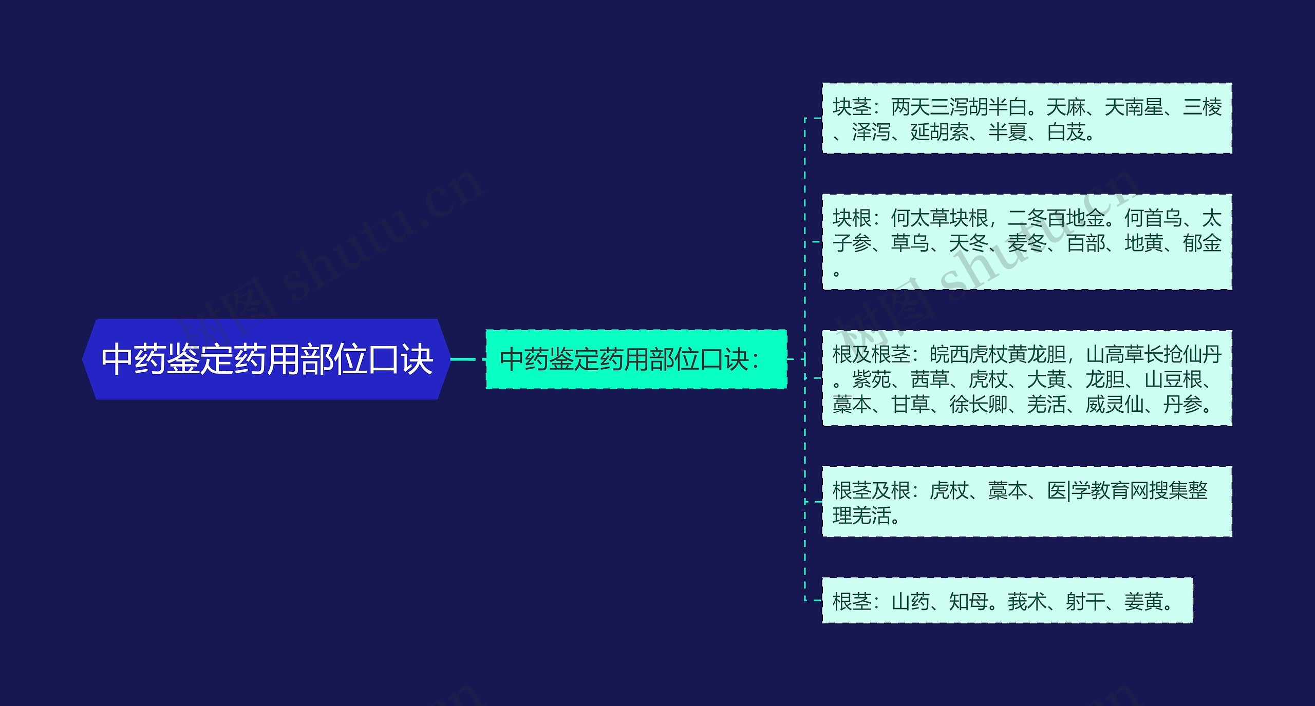 中药鉴定药用部位口诀思维导图