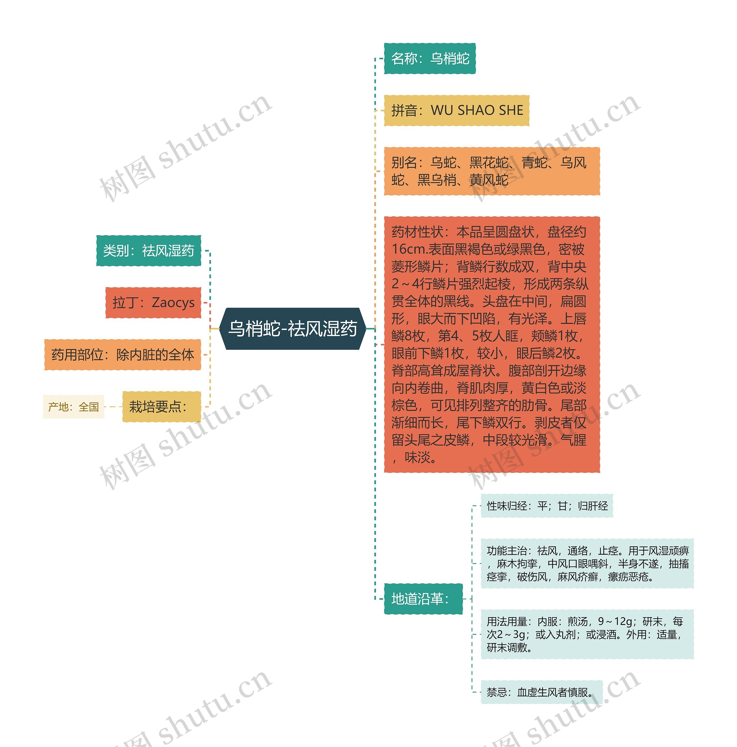乌梢蛇-祛风湿药 乌梢蛇-祛风湿药