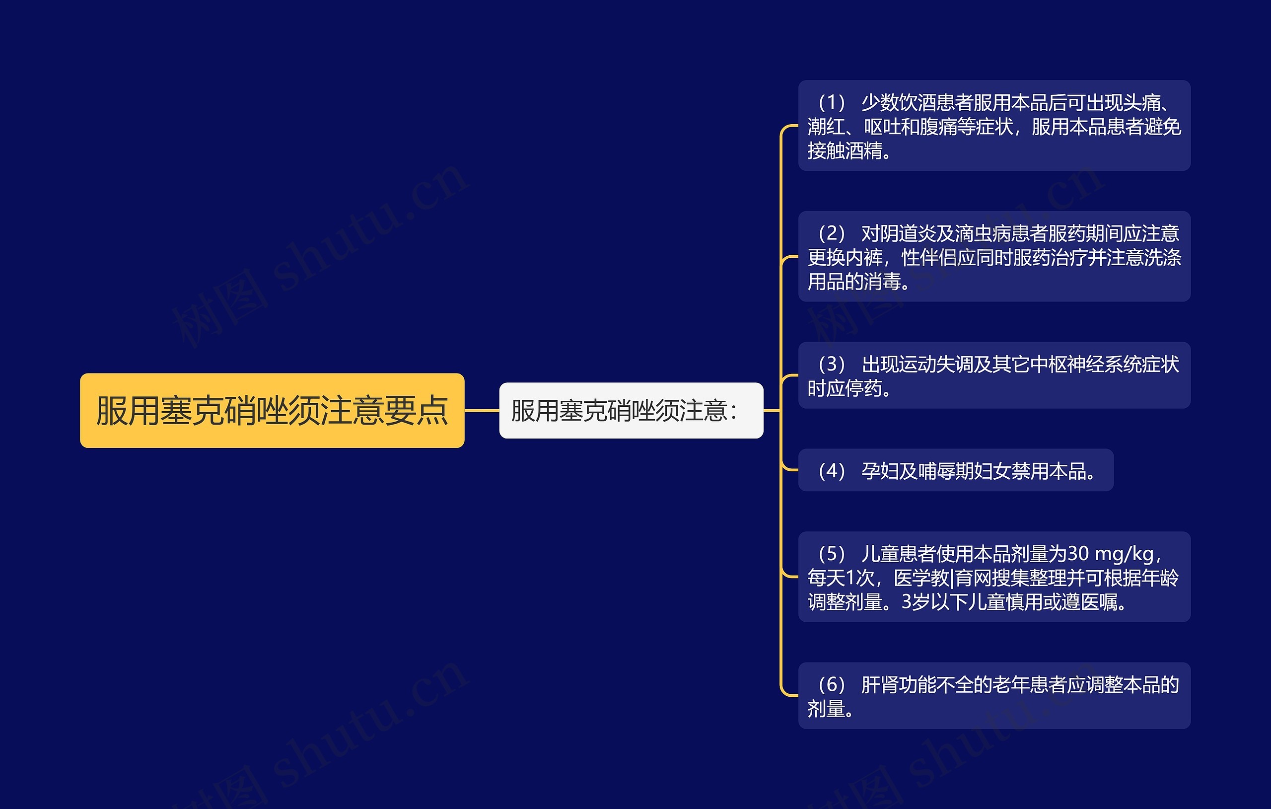 服用塞克硝唑须注意要点思维导图