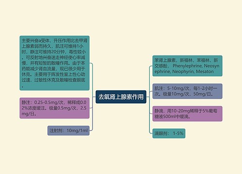 去氧肾上腺素作用