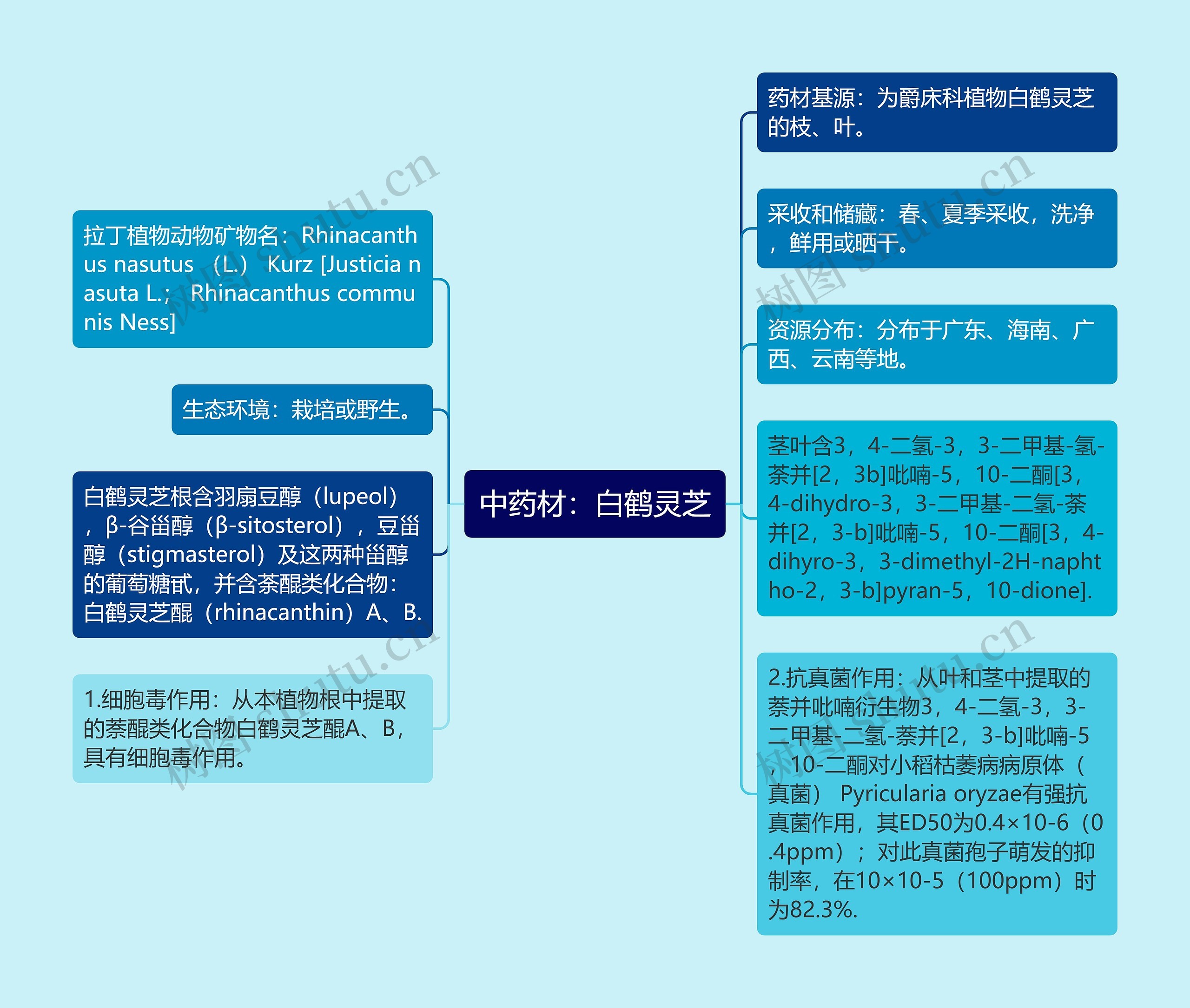 中药材：白鹤灵芝思维导图