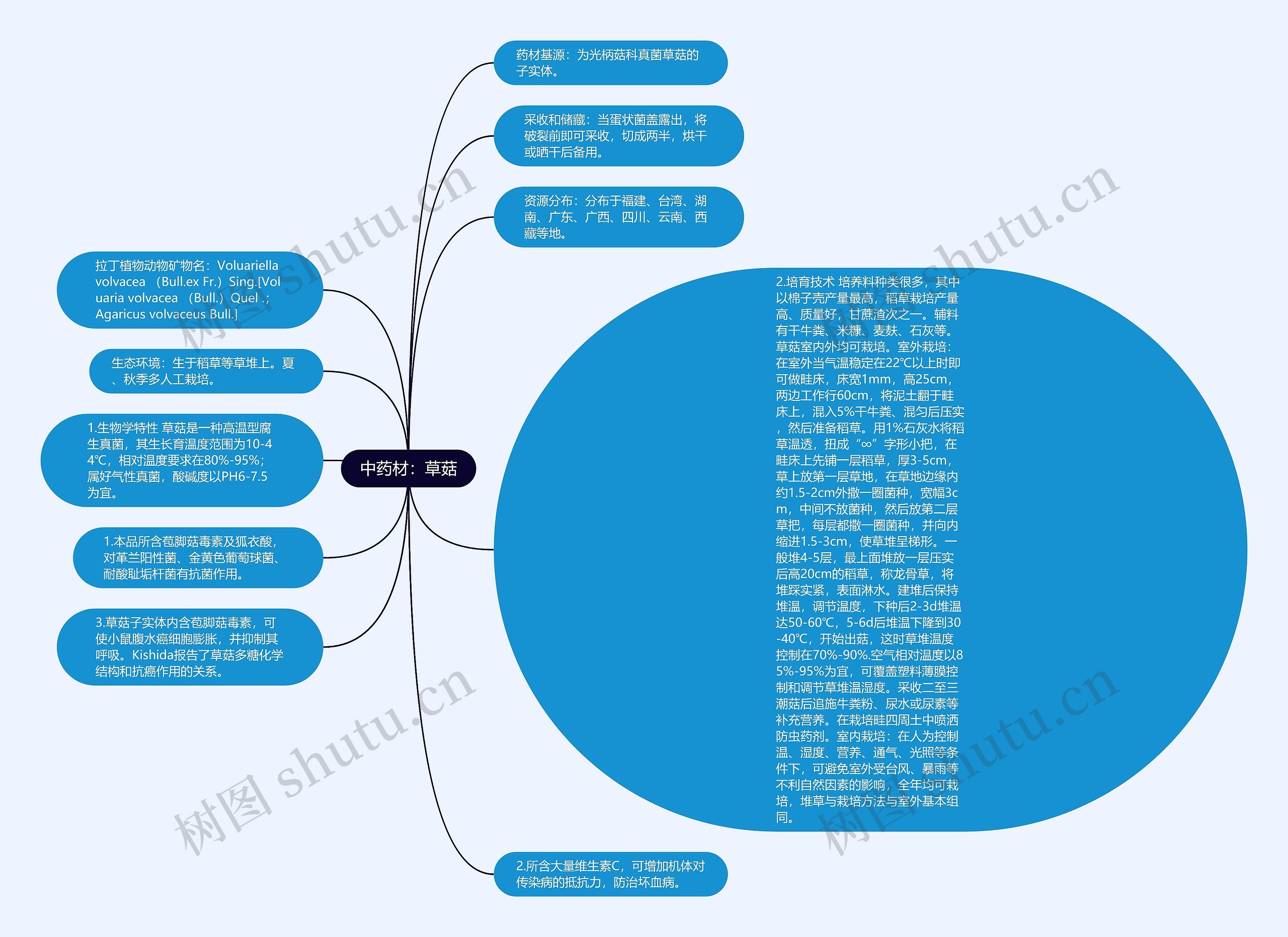 中药材：草菇思维导图