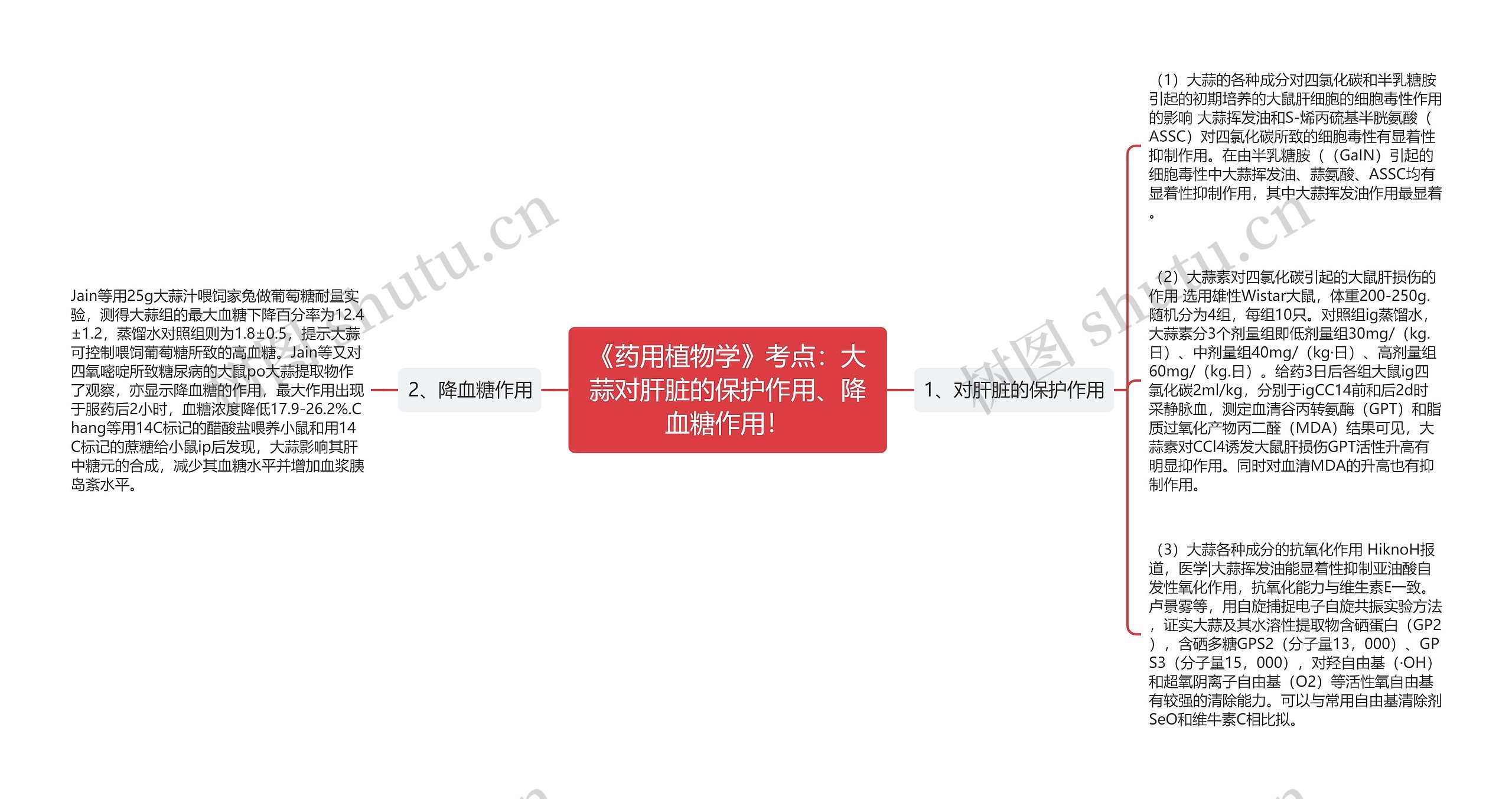 《药用植物学》考点：大蒜对肝脏的保护作用、降血糖作用！思维导图